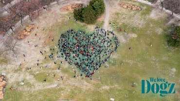 szív flashmob a dogz farsangi falkasétán