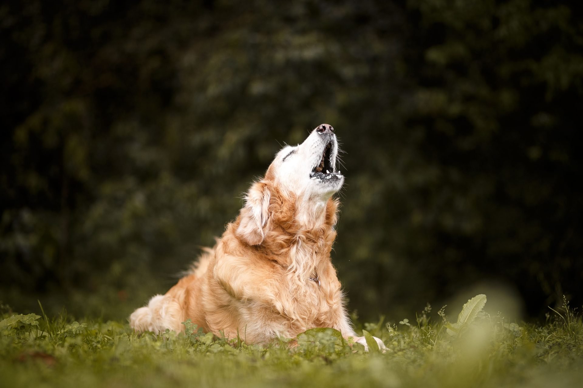2020_06_gettyimages-1052881352-scaled.jpg