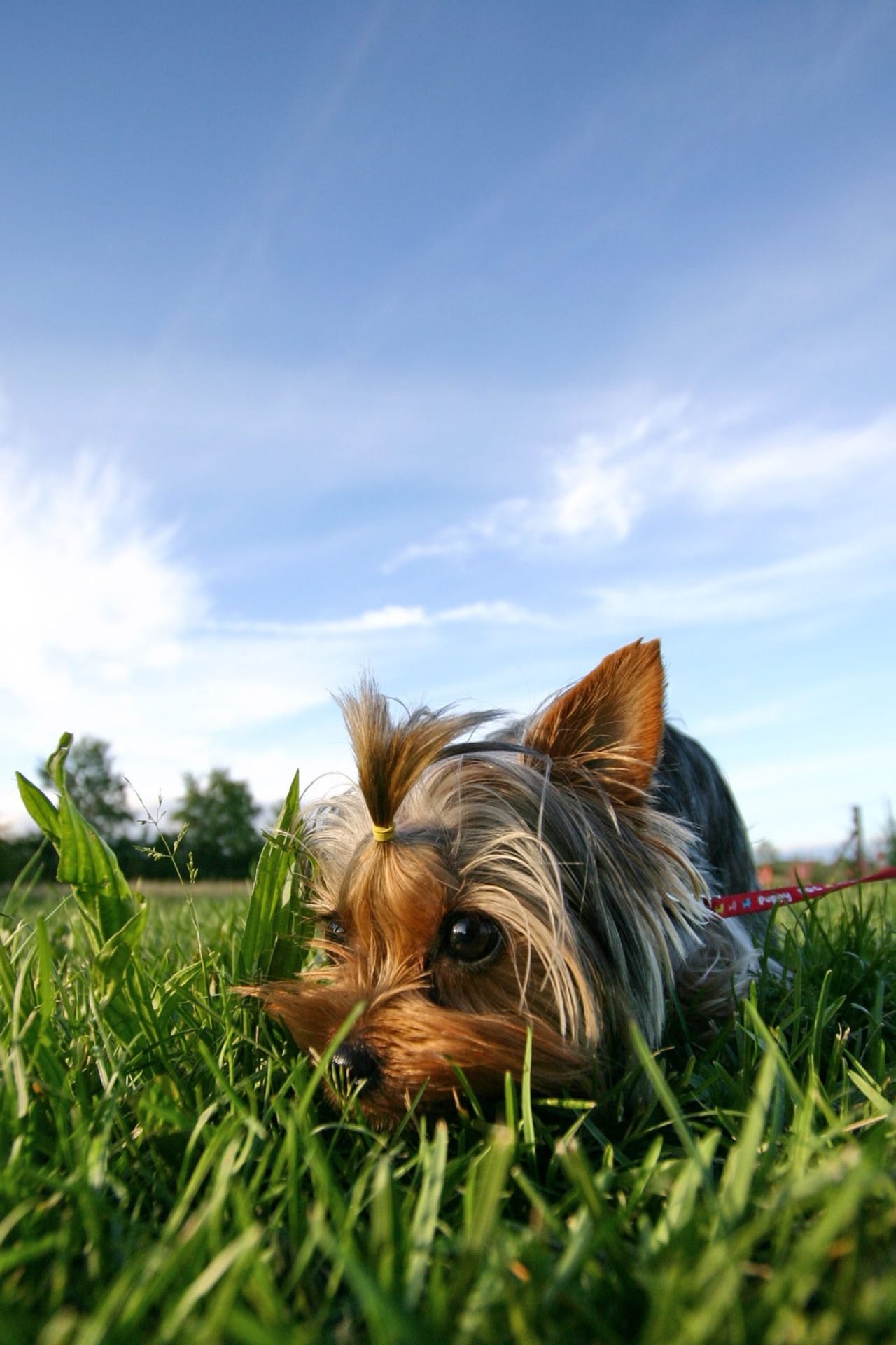 2020_06_gettyimages-109718187-scaled.jpg