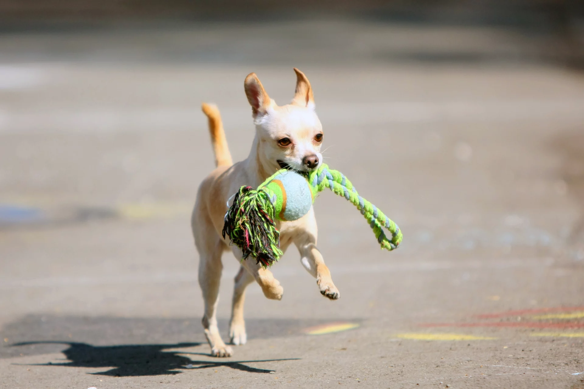 2020_06_gettyimages-1161916612-scaled.webp