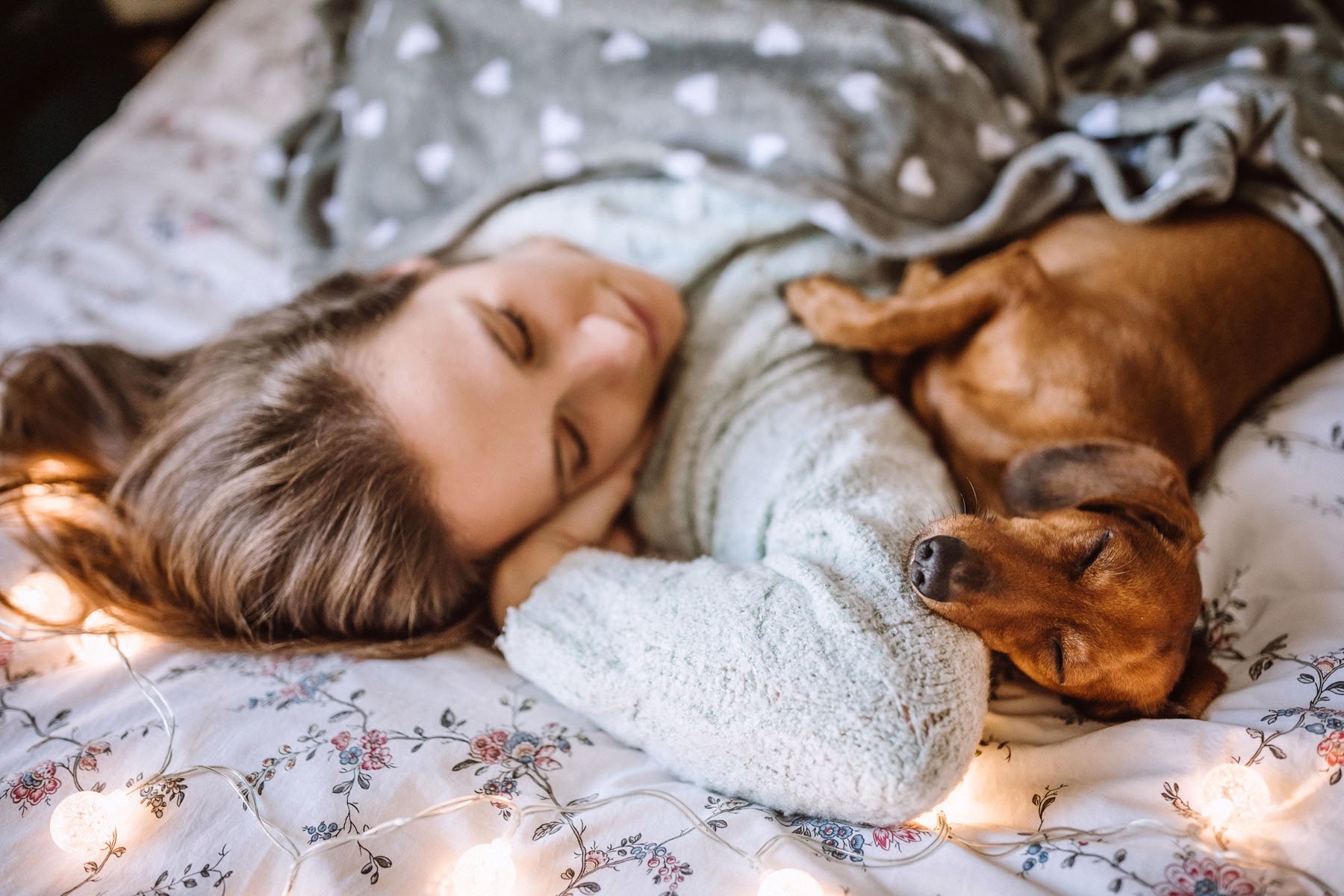 Enjoying Christmas Morning With Her Beautiful Dachshund in Bed