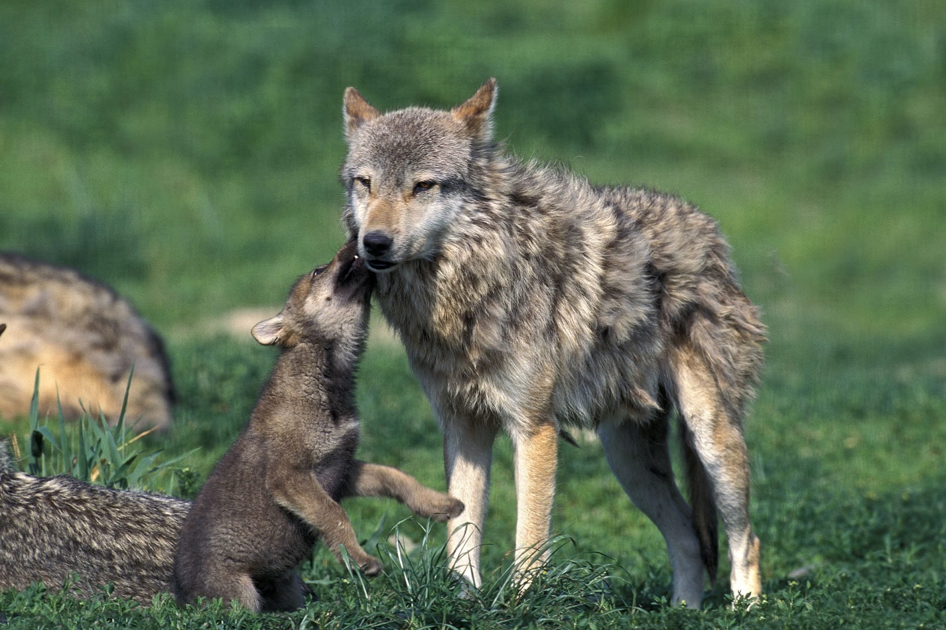 2020_06_gettyimages-1226716650-scaled.jpg