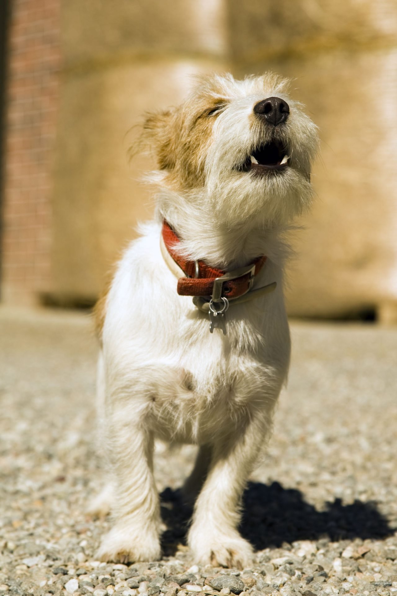2020_06_gettyimages-137822360-scaled.jpg