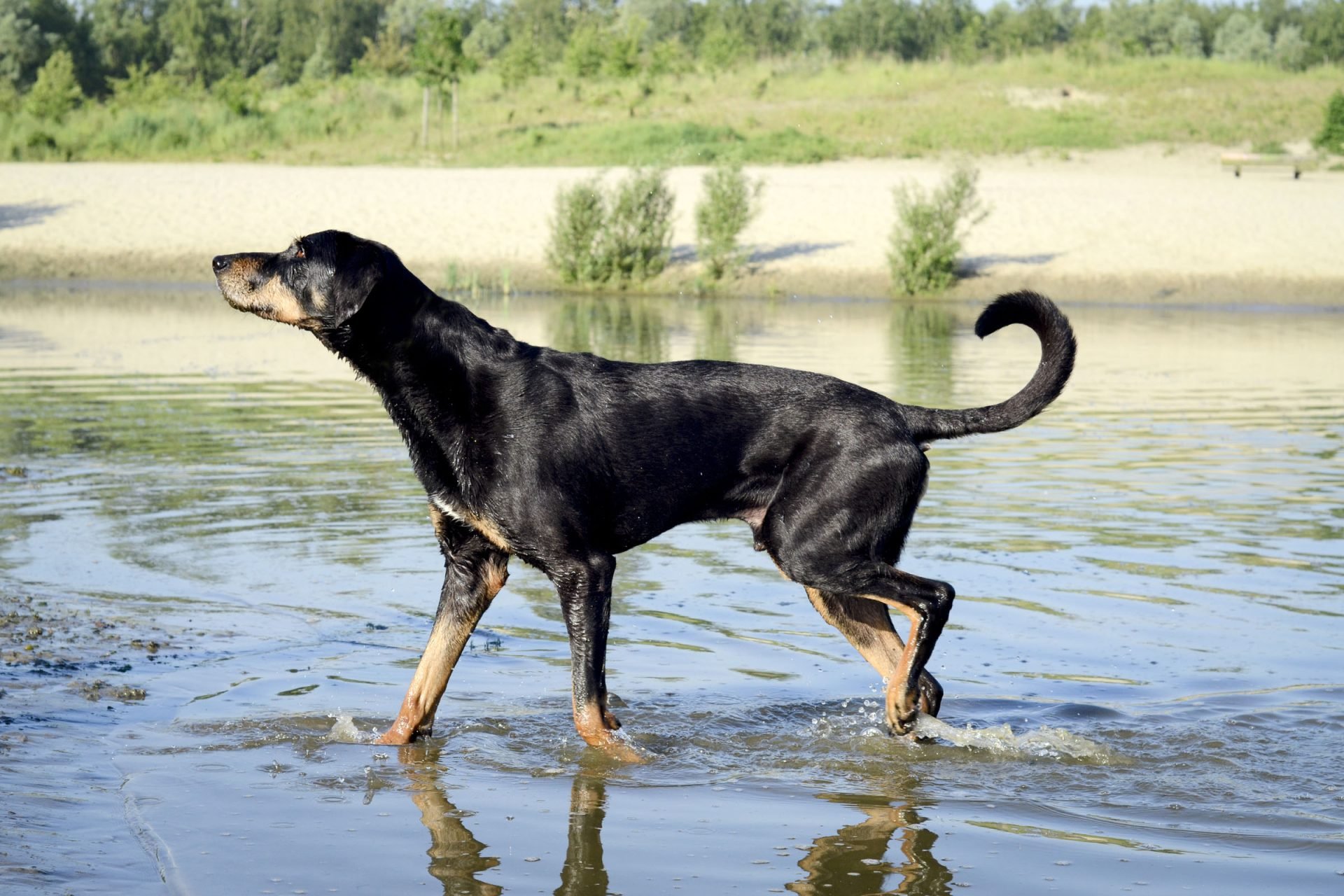 2020_06_gettyimages-171324190-scaled.jpg