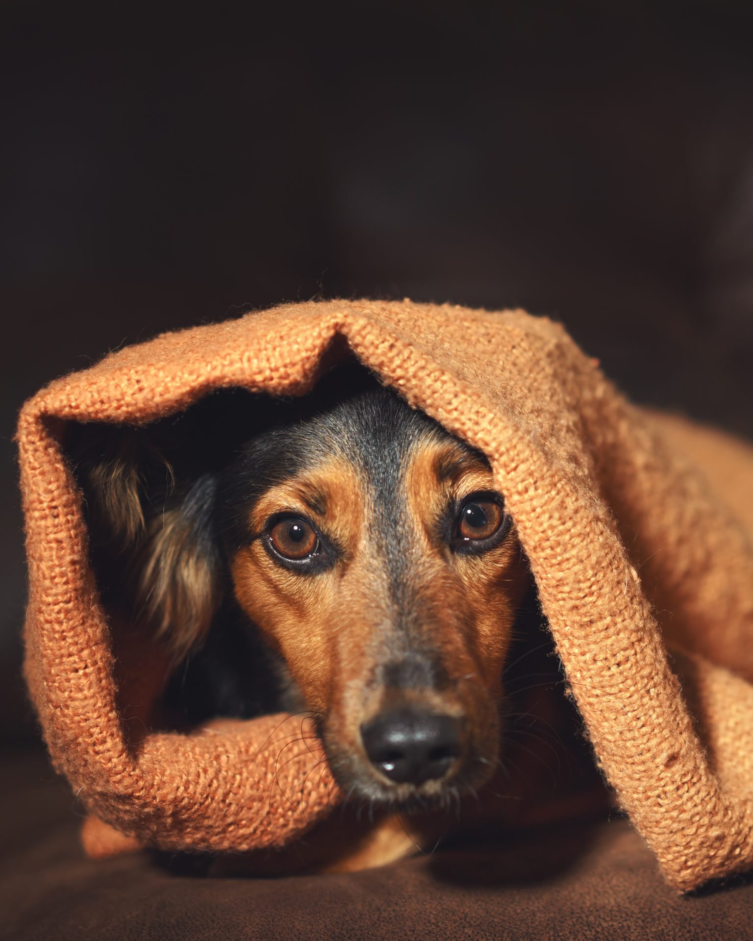 2020_06_gettyimages-696669448-scaled.jpg