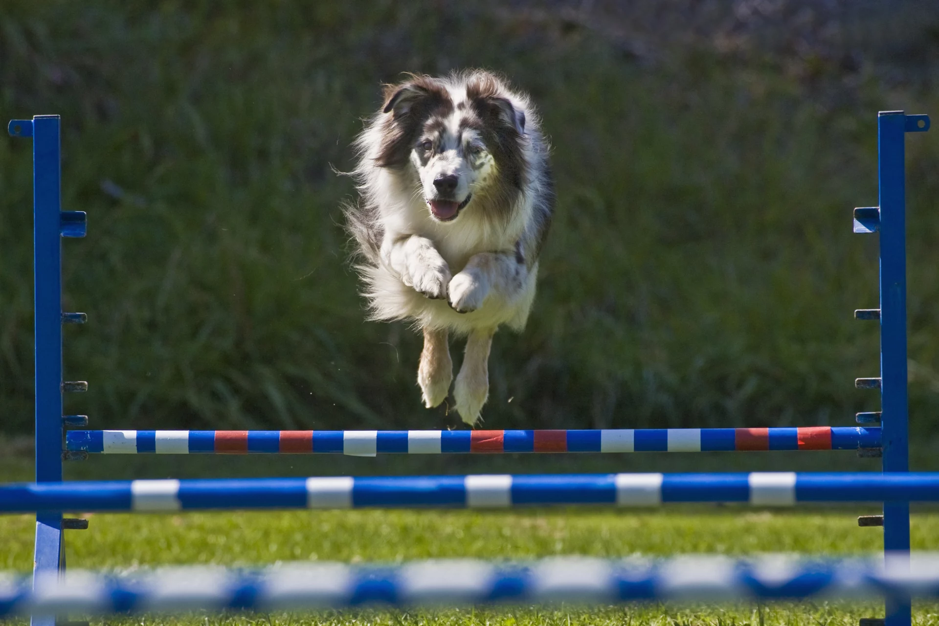 2020_07_agility-kiemelt-scaled.webp
