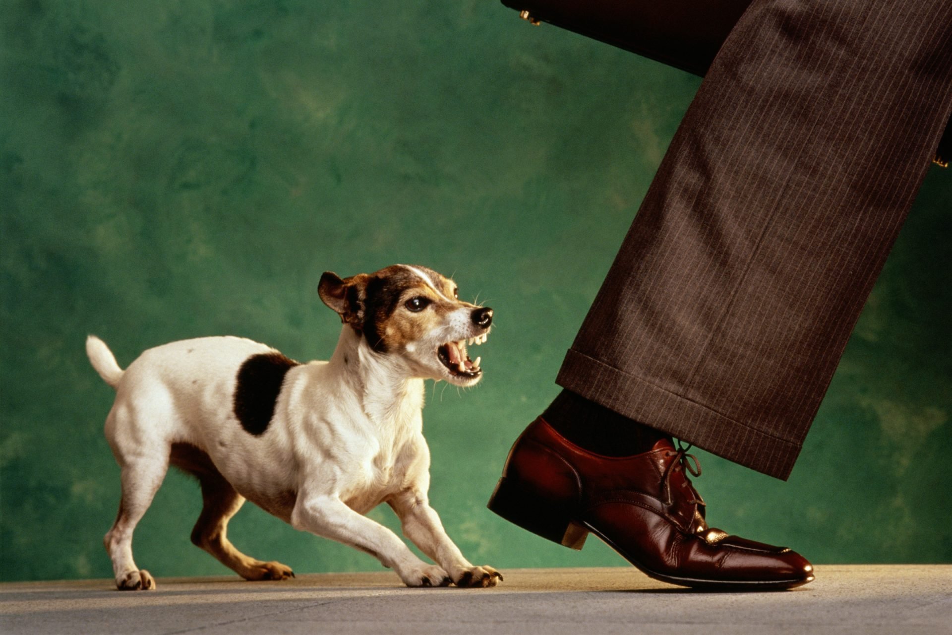 2020_07_gettyimages-10079987-scaled.jpg