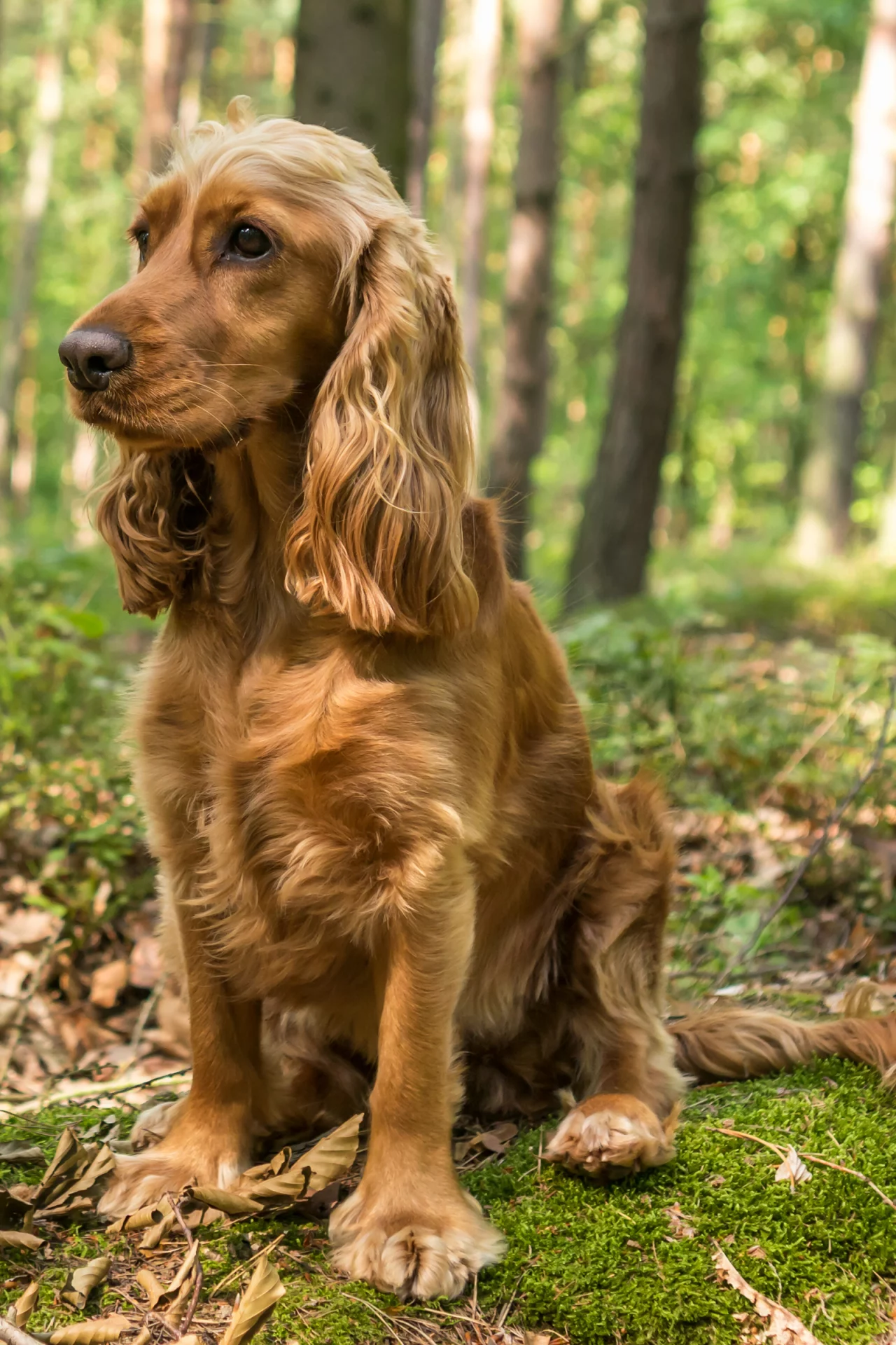 2020_07_gettyimages-1010055404-scaled.webp