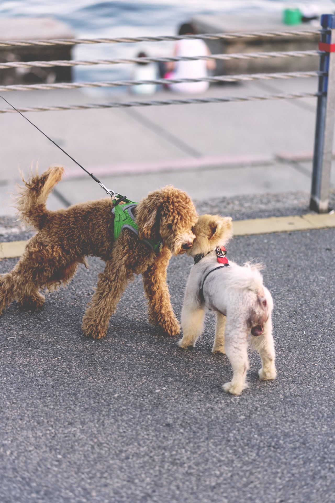 2020_07_gettyimages-1014044056-scaled.jpg
