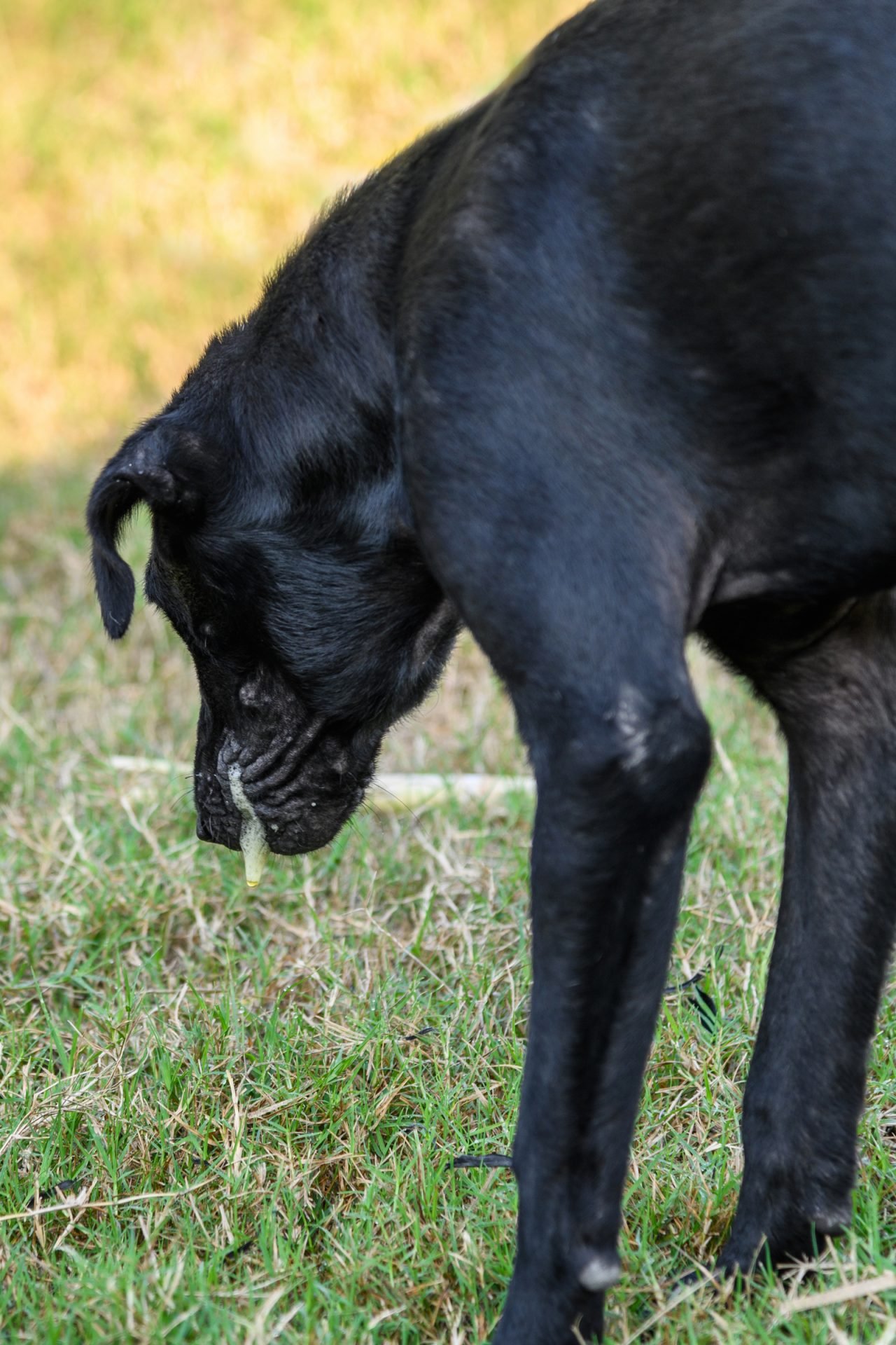 2020_07_gettyimages-1128839911-scaled.jpg