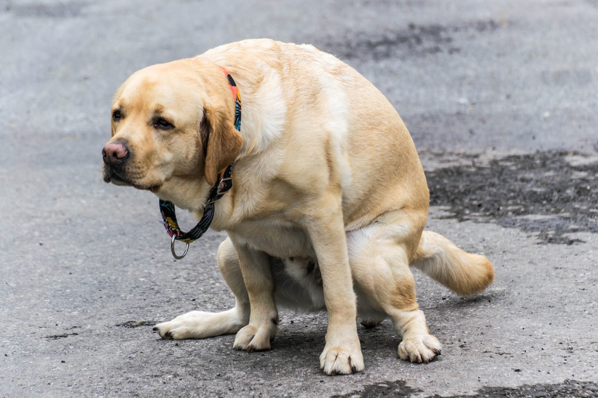 2020_07_gettyimages-1172151094-scaled.jpg