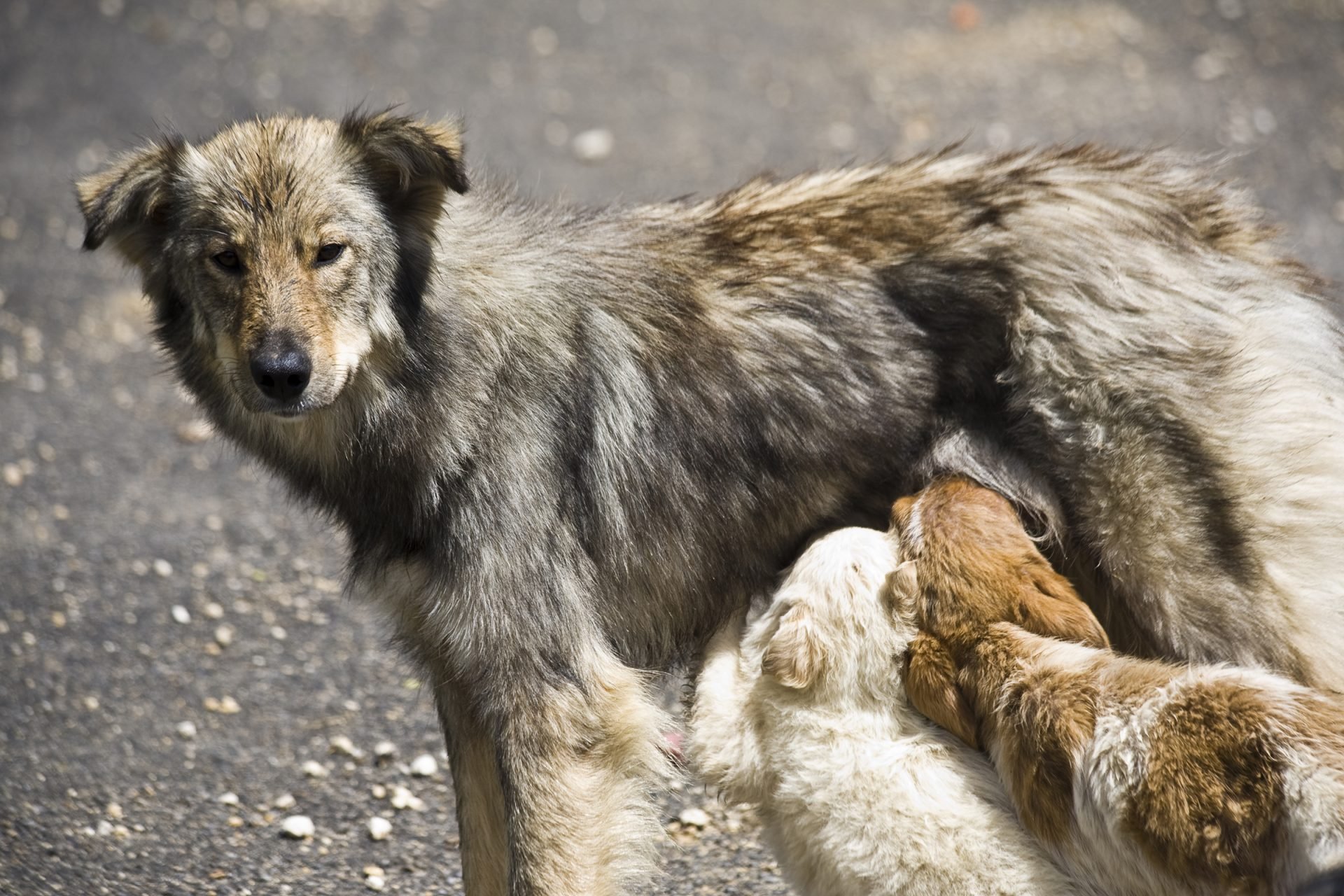 2020_07_gettyimages-118374750-scaled.jpg