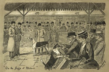 Vadászkutyákra licitálnak a peterborough-i mezőgazdasági kiállításon (19. századi metszet)