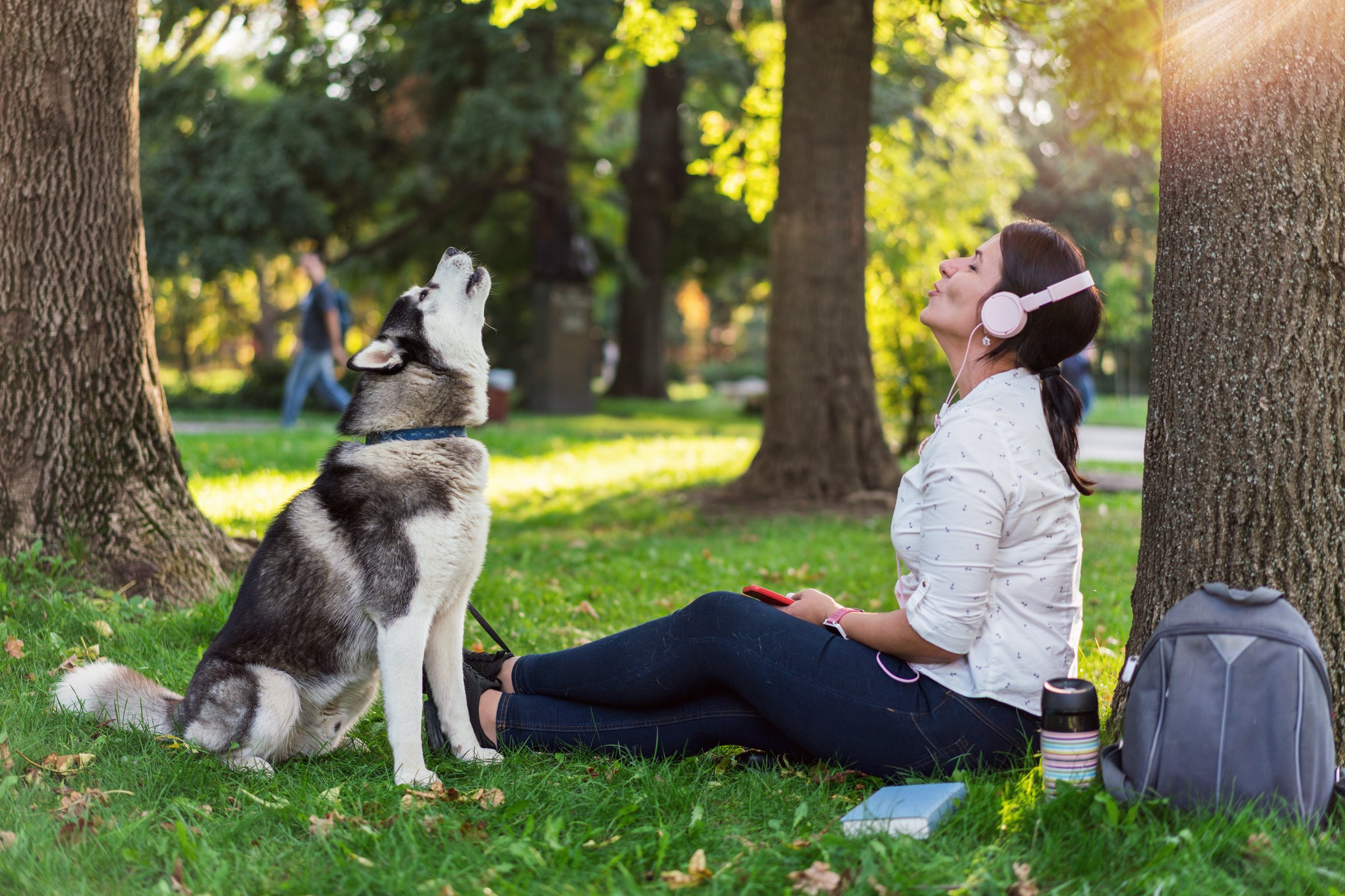 husky és gazdája vonyít