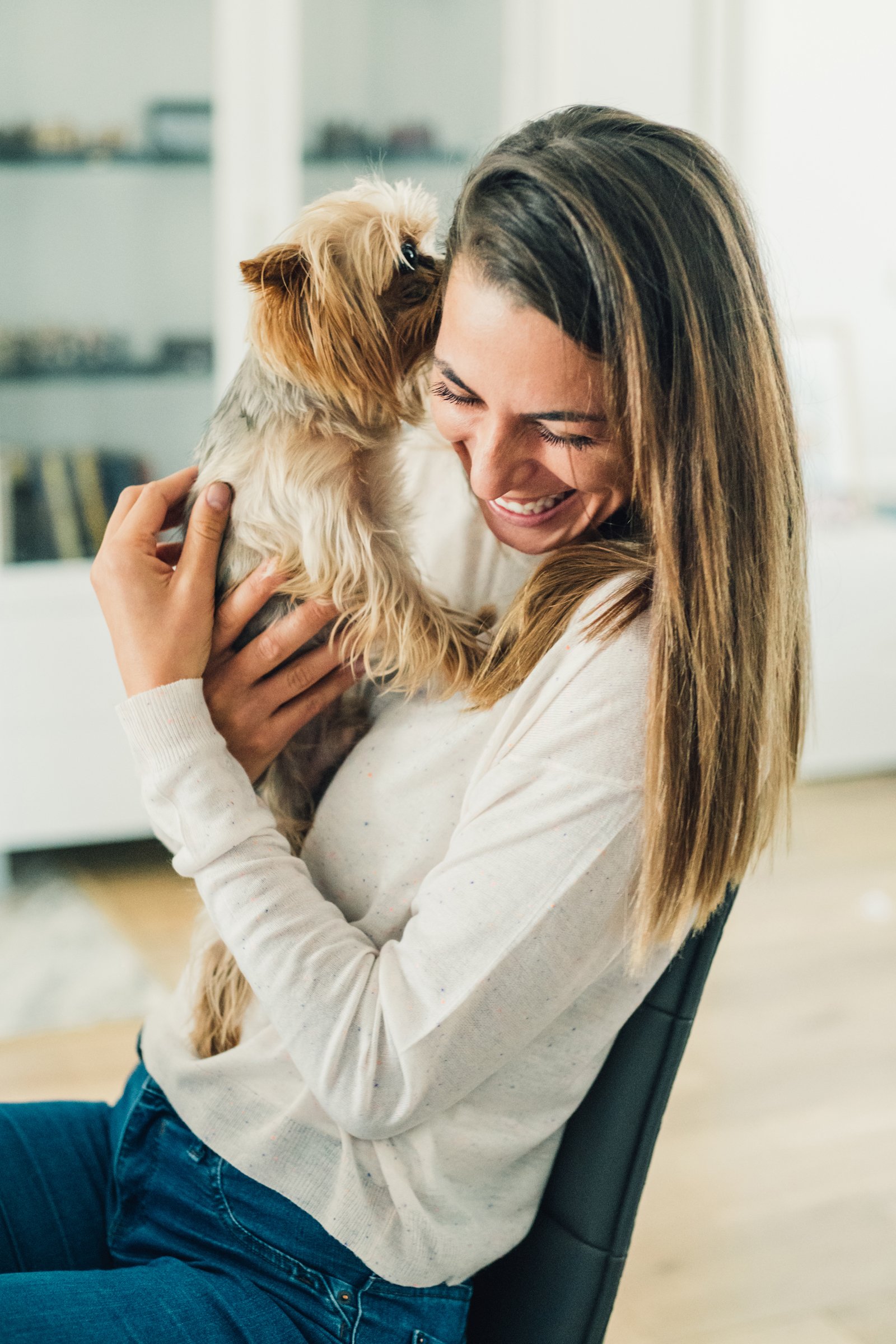 yorkie a gazdájával