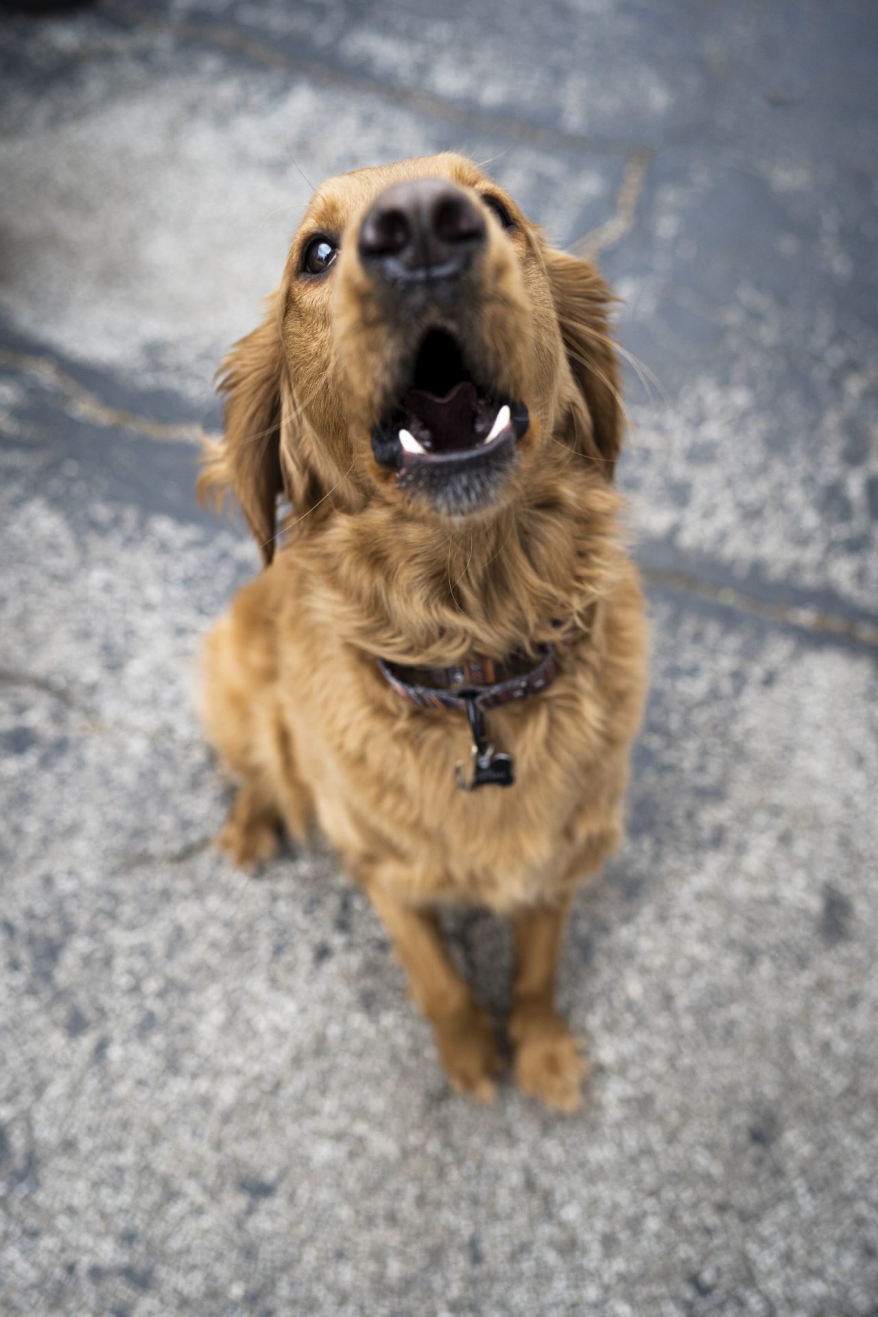 2020_07_gettyimages-1223638791-scaled.jpg