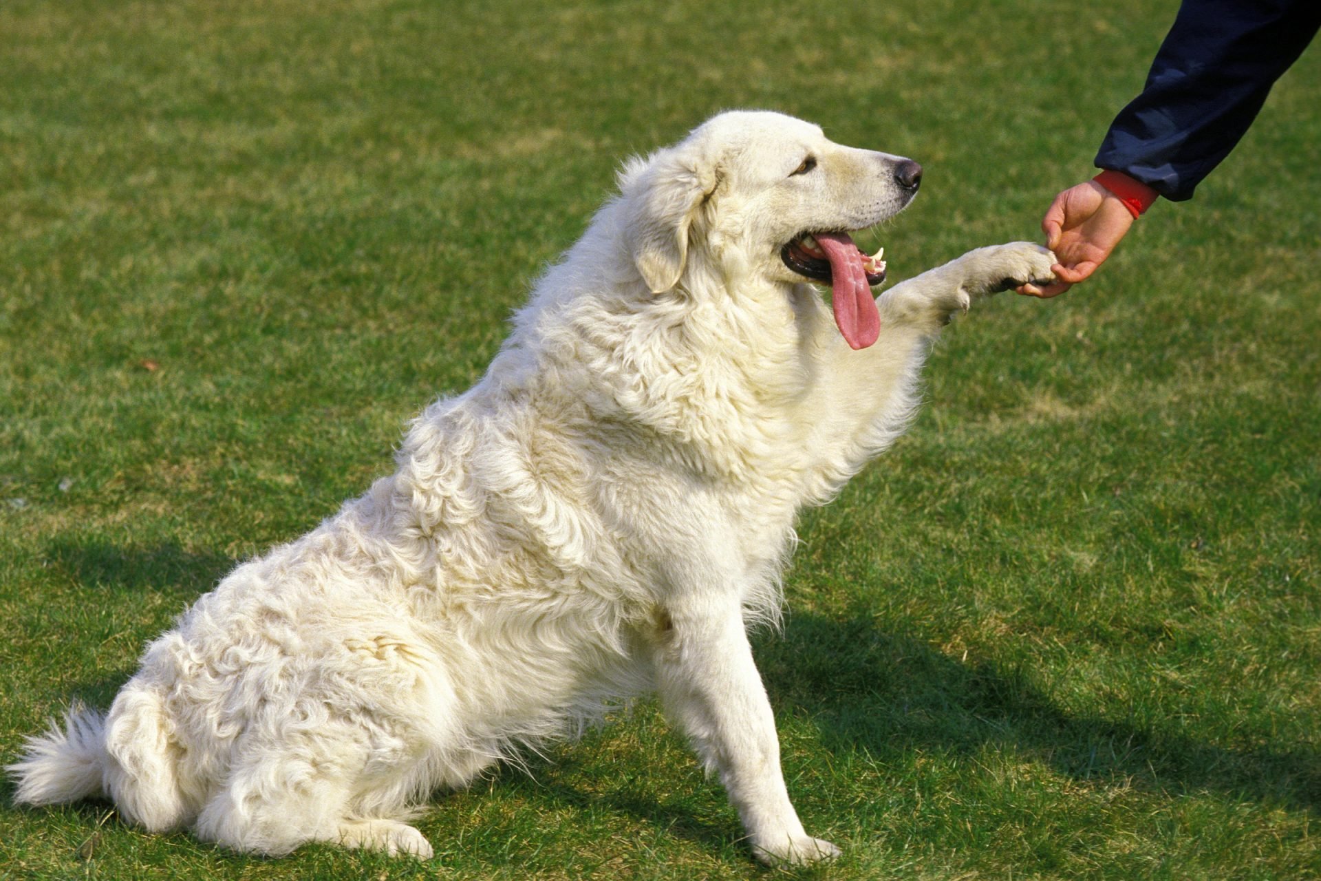 2020_07_gettyimages-1253996498-scaled.jpg