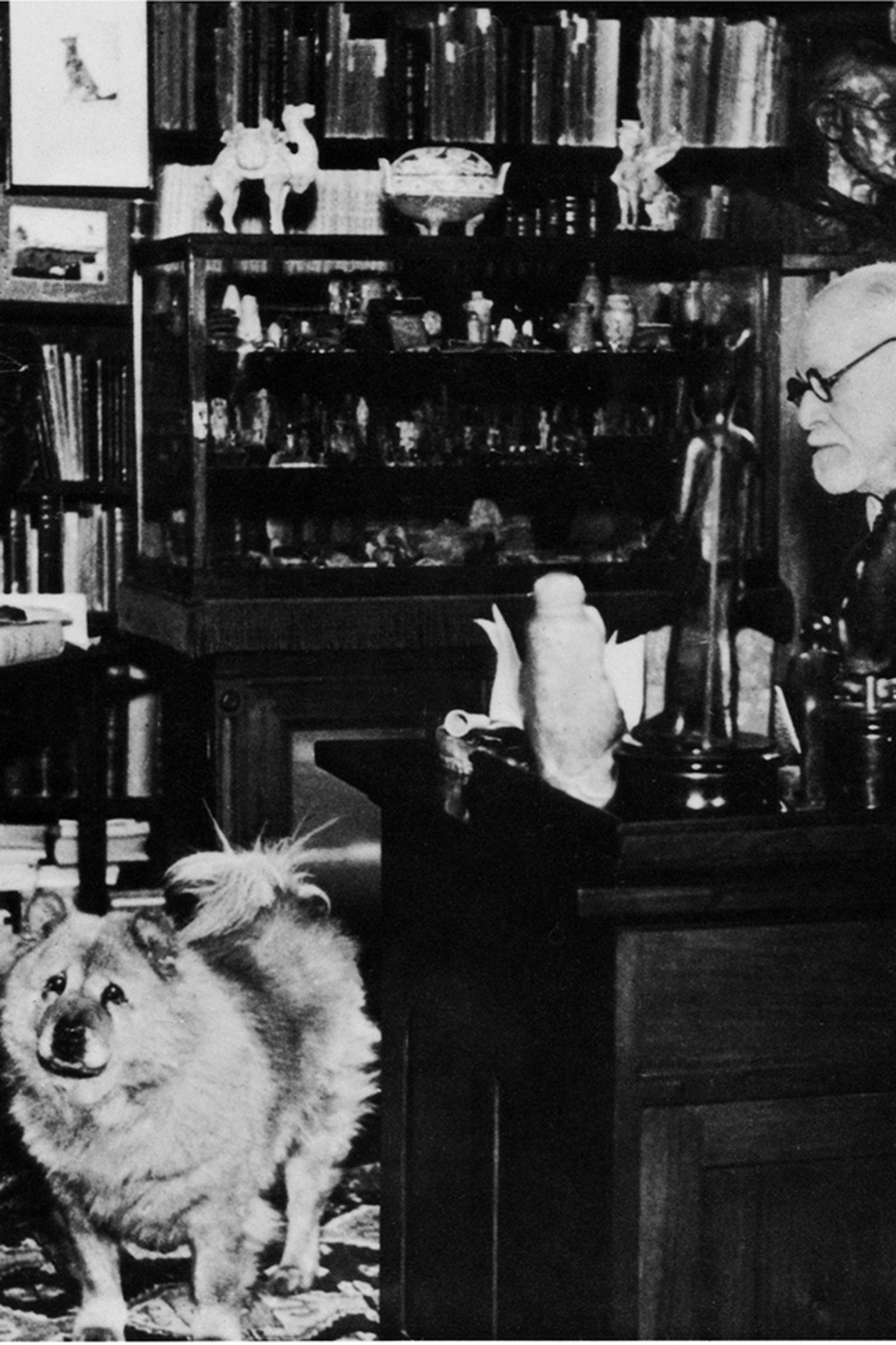 Freud csau csauval
