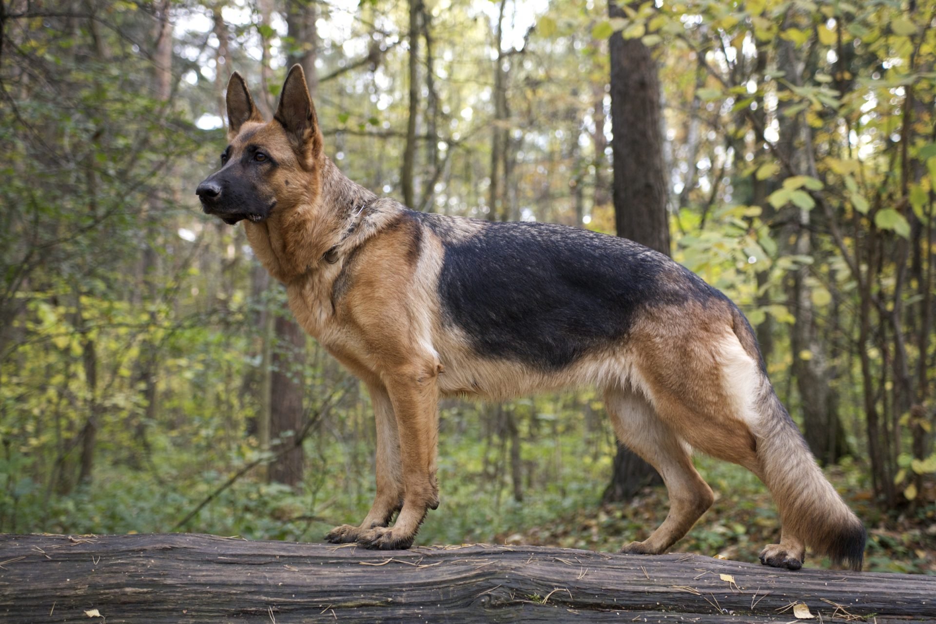 2020_07_gettyimages-151533956-scaled.jpg