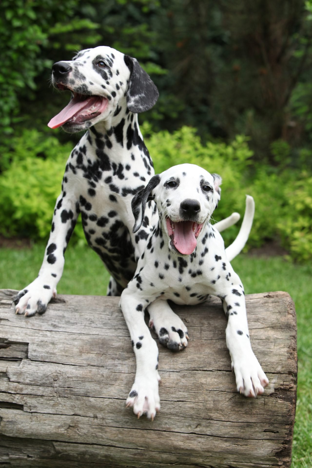 2020_07_gettyimages-153698930-scaled.jpg