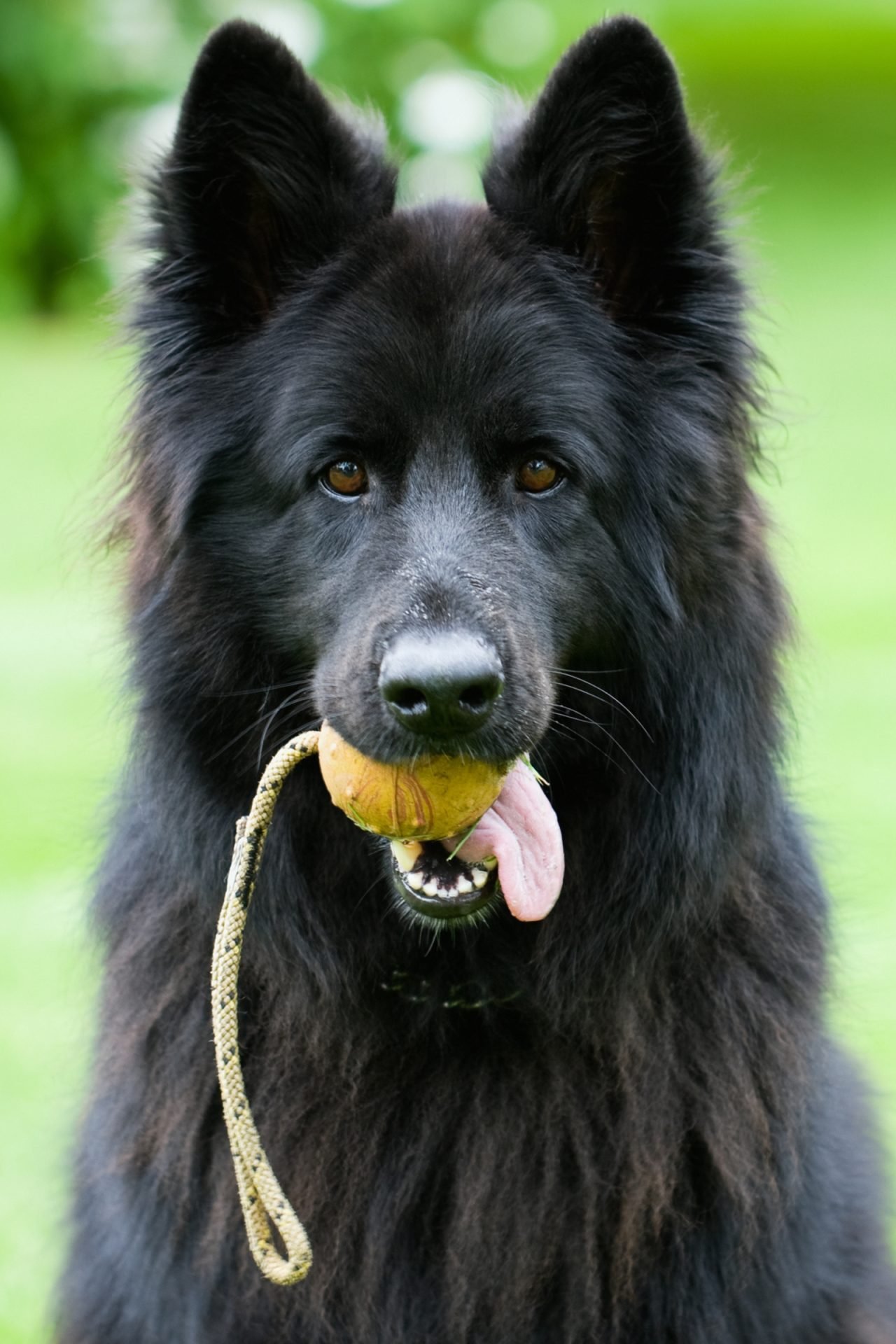 2020_07_gettyimages-157726213-scaled.jpg