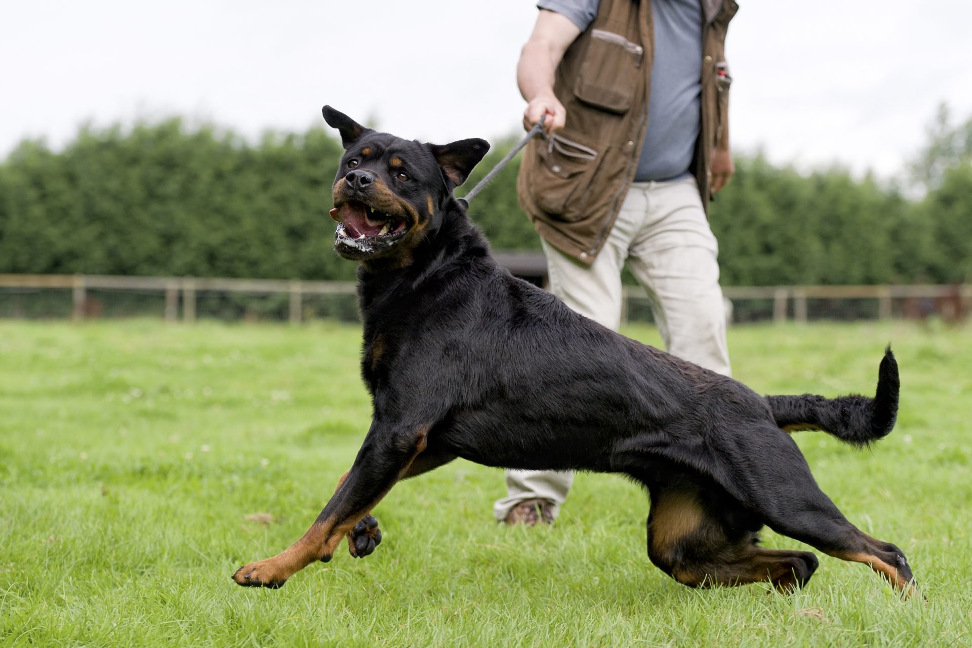 2020_07_gettyimages-174082010-scaled.jpg