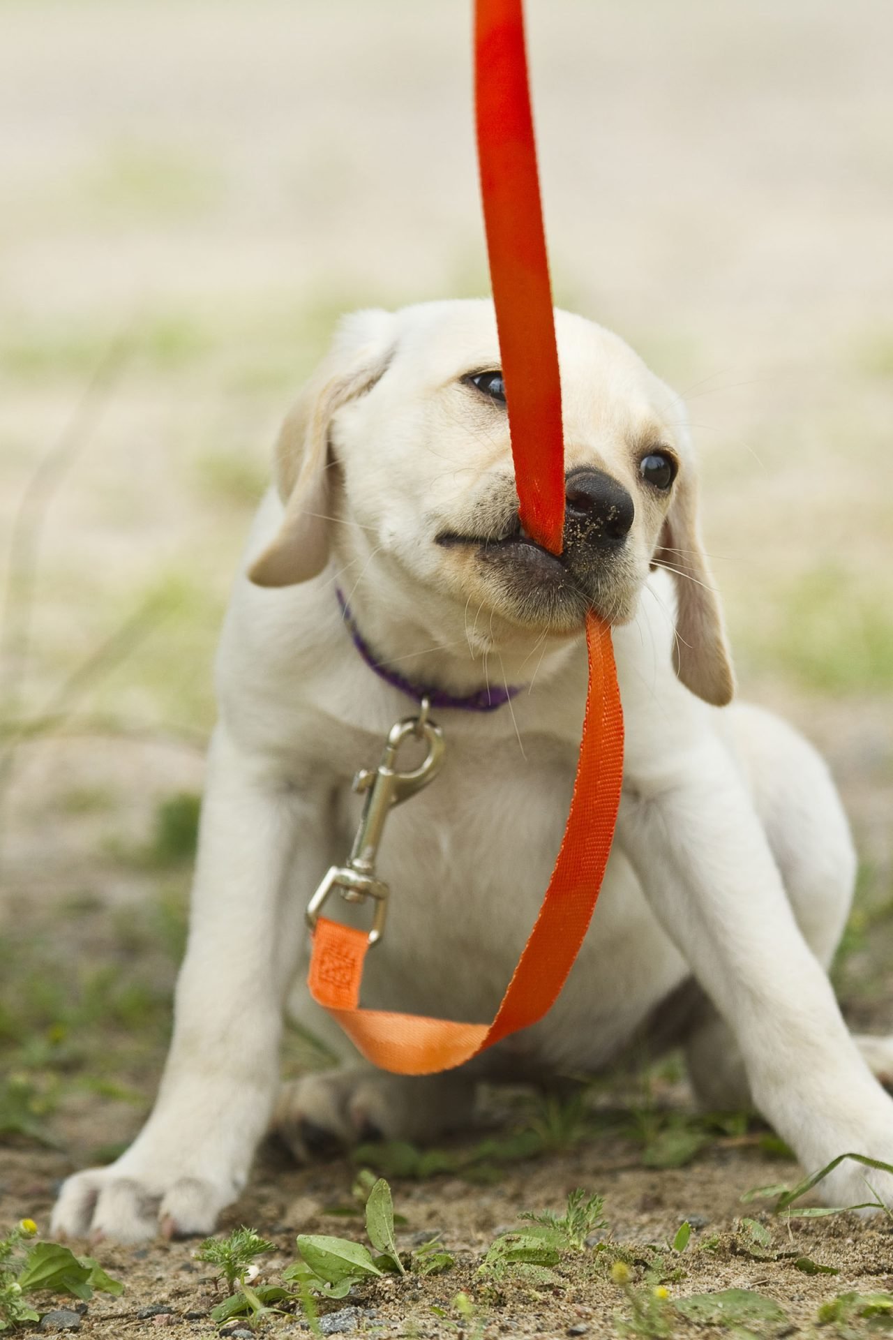 2020_07_gettyimages-182888305-scaled.jpg