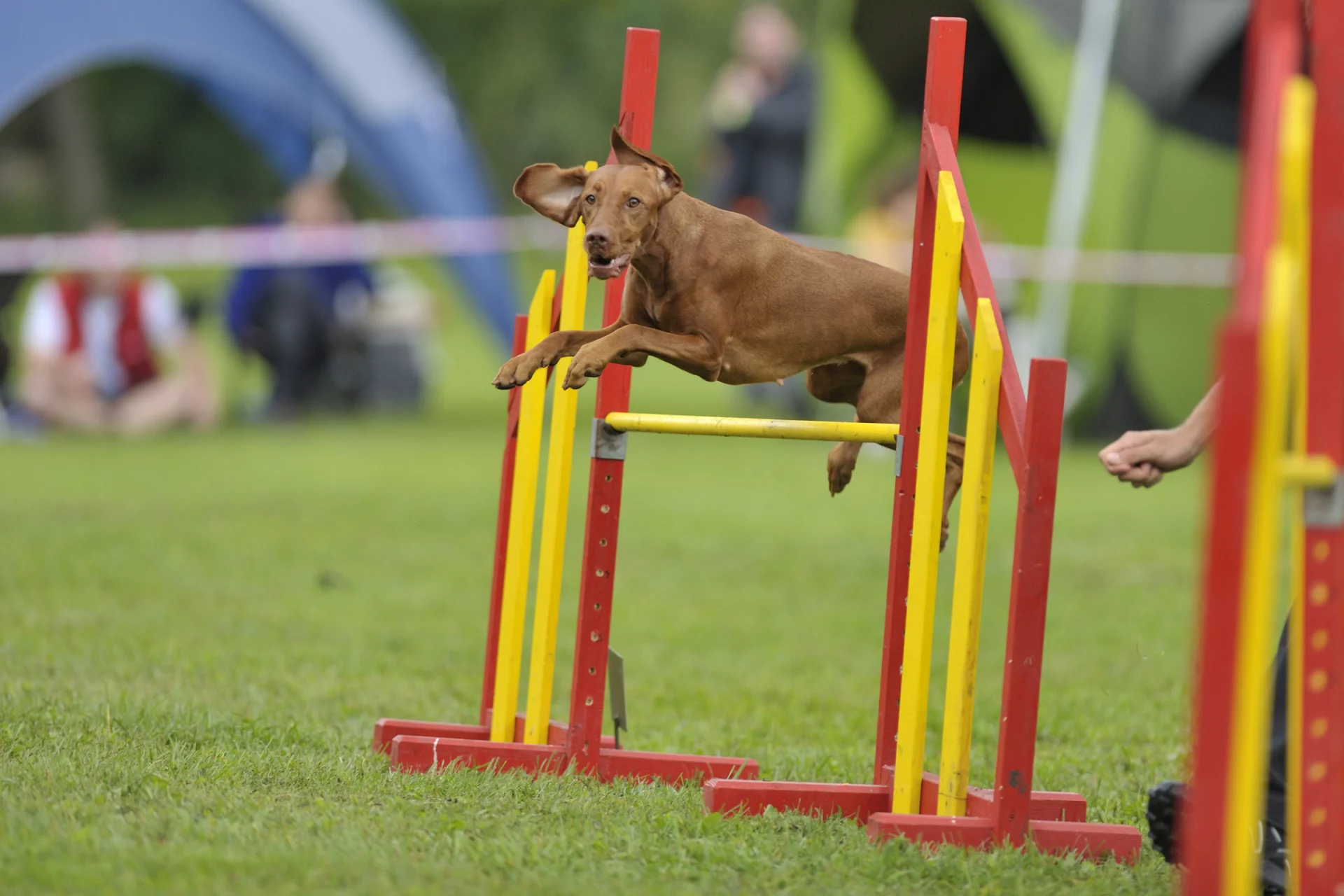 2020_07_gettyimages-470001006-scaled.webp