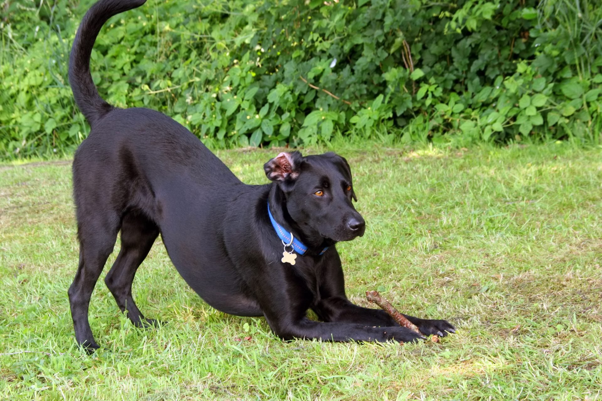 2020_07_gettyimages-471090151-scaled.jpg