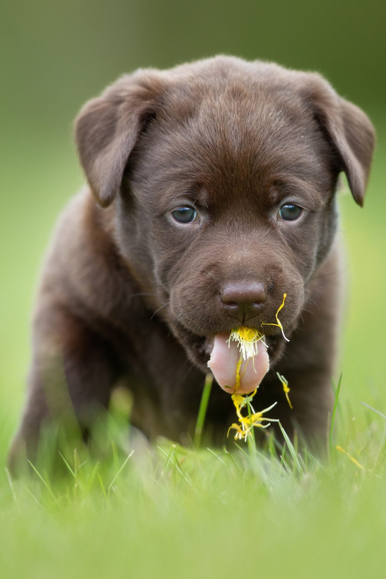 2020_07_gettyimages-503302448-scaled.jpg