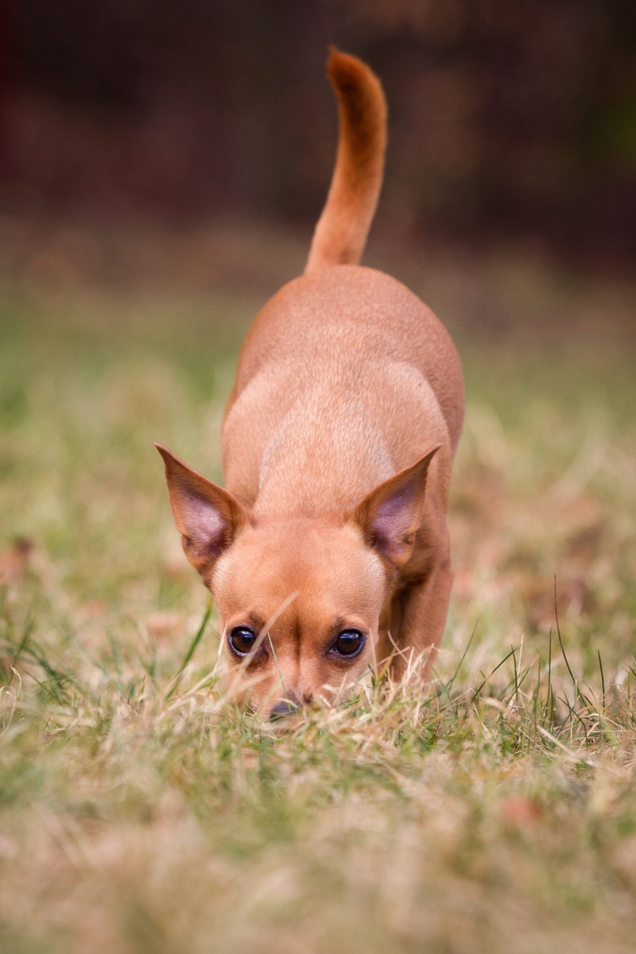 2020_07_gettyimages-526561210-scaled.jpg