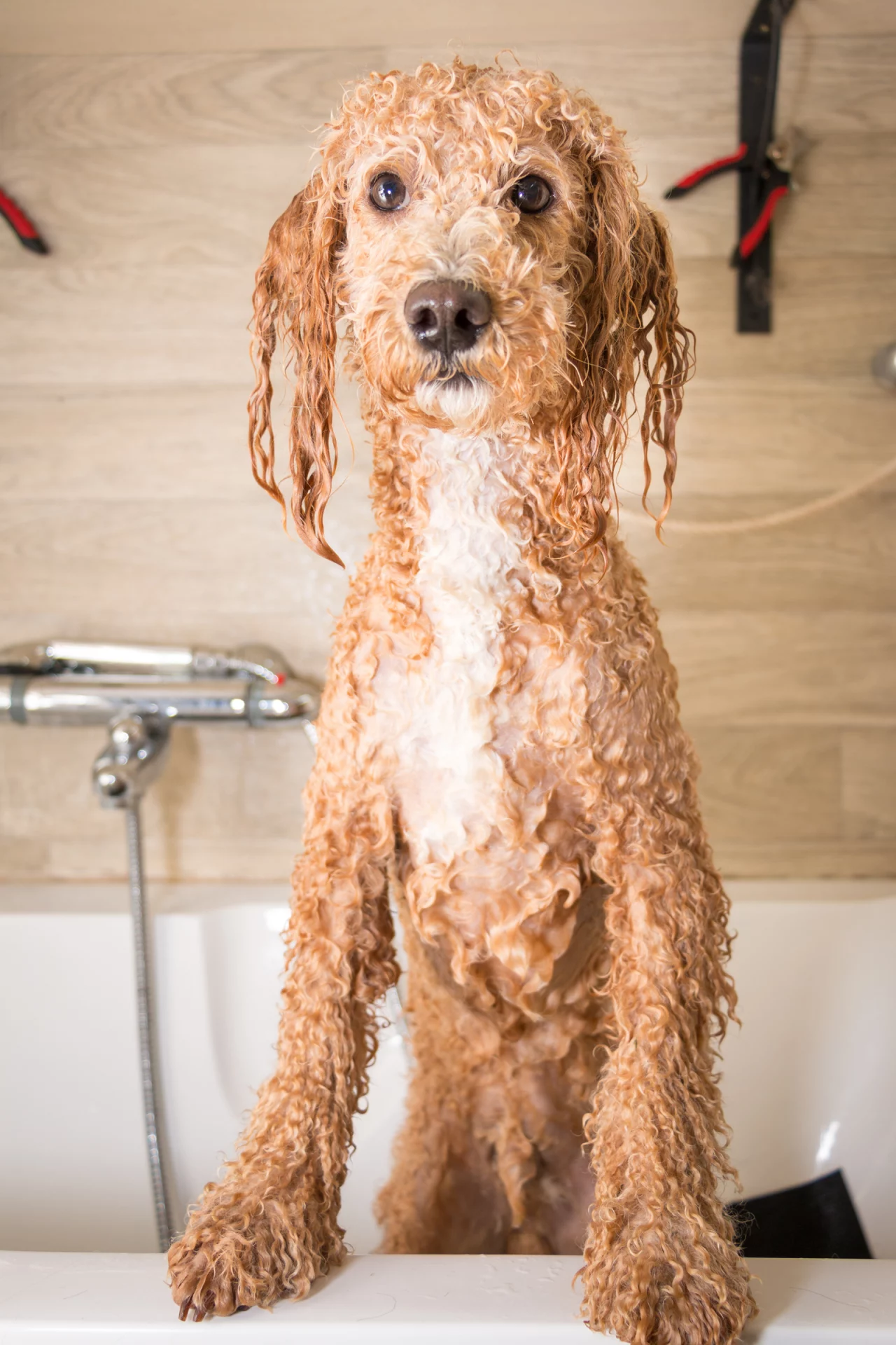 2020_07_gettyimages-539828342-scaled.webp