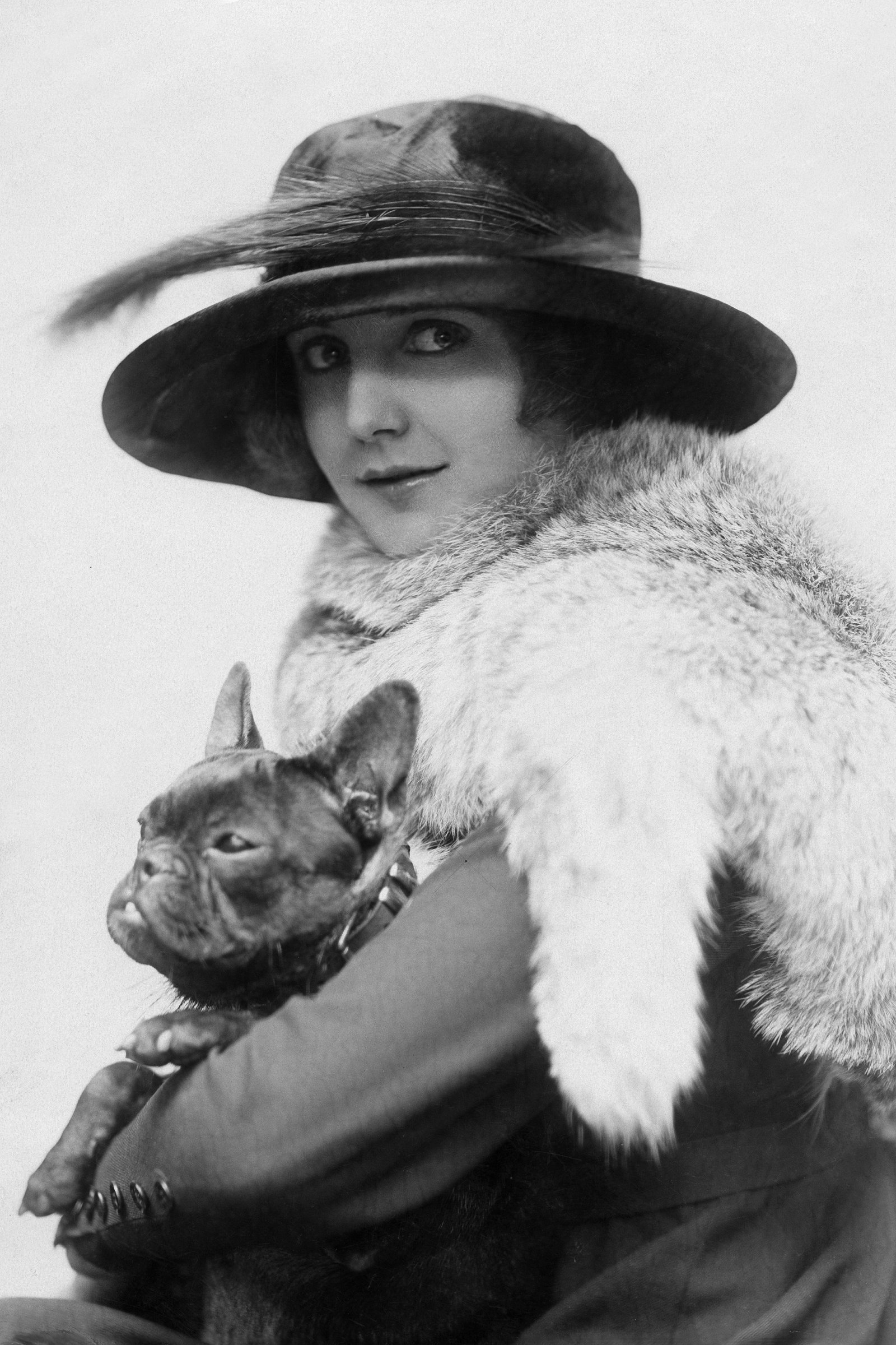 francia bulldog 1919