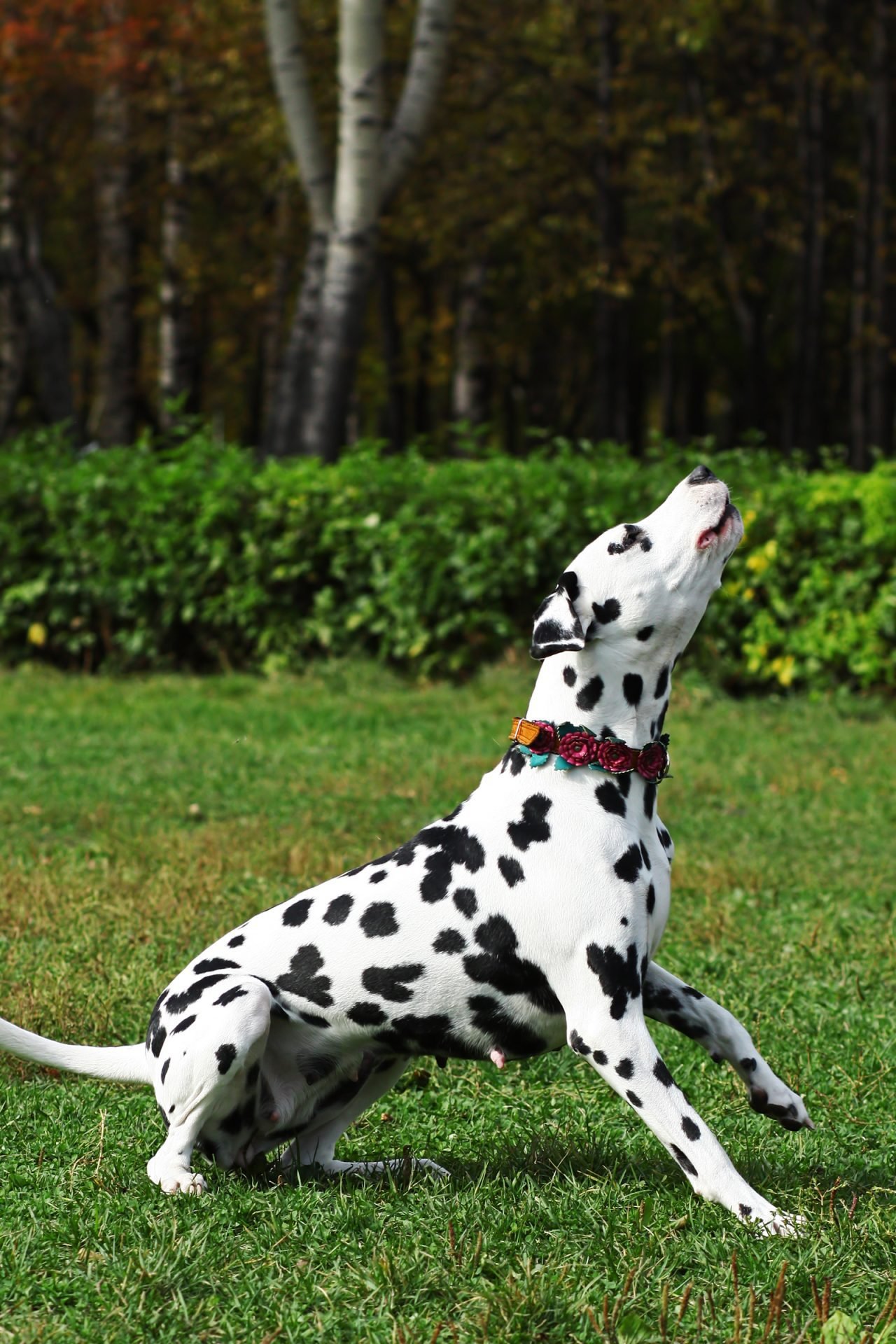 2020_07_gettyimages-613674736-scaled.jpg