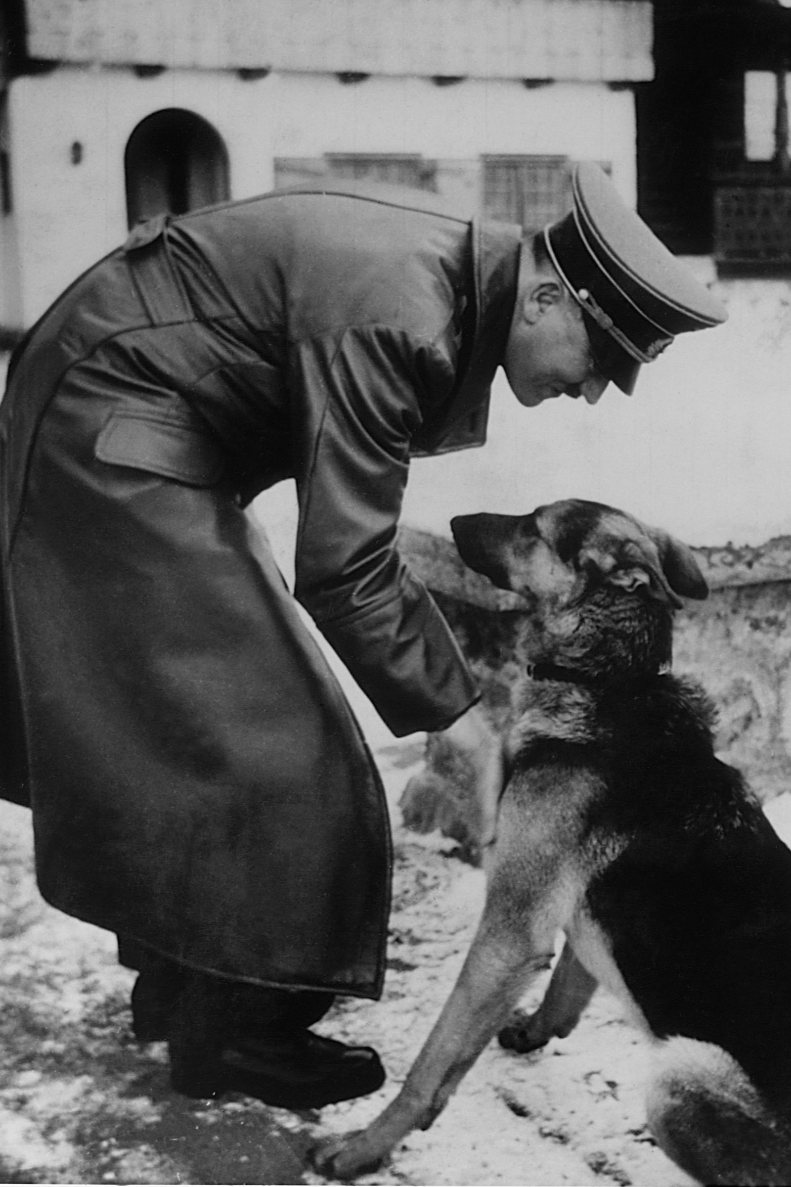 Hitler és a németjuhásza