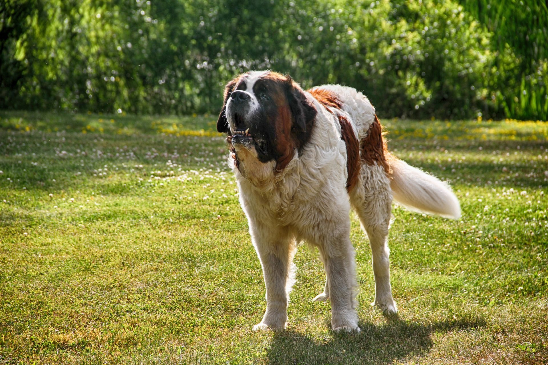 2020_07_gettyimages-628005030-scaled.jpg
