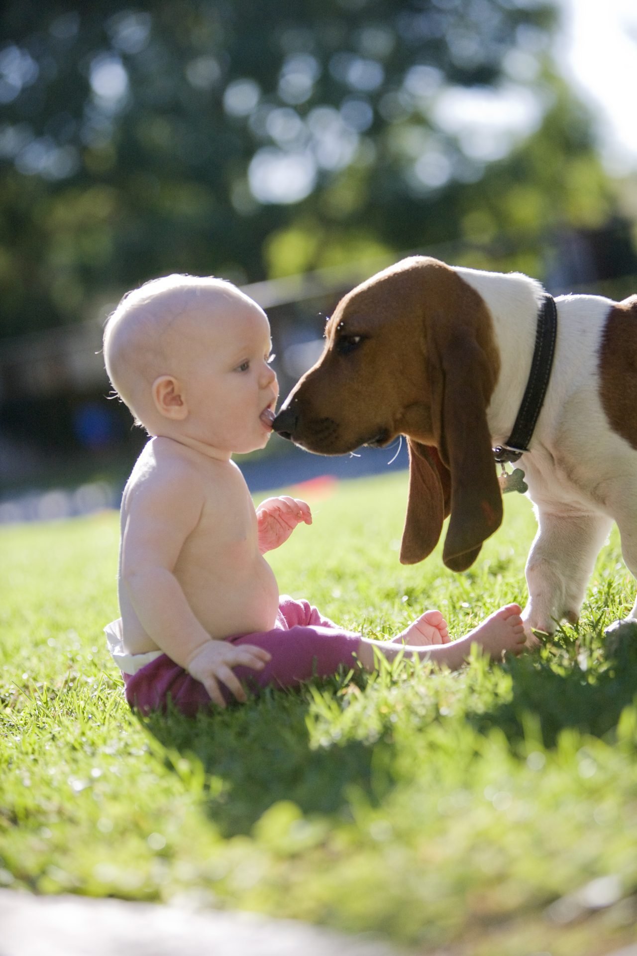 2020_07_gettyimages-96157550-scaled.jpg
