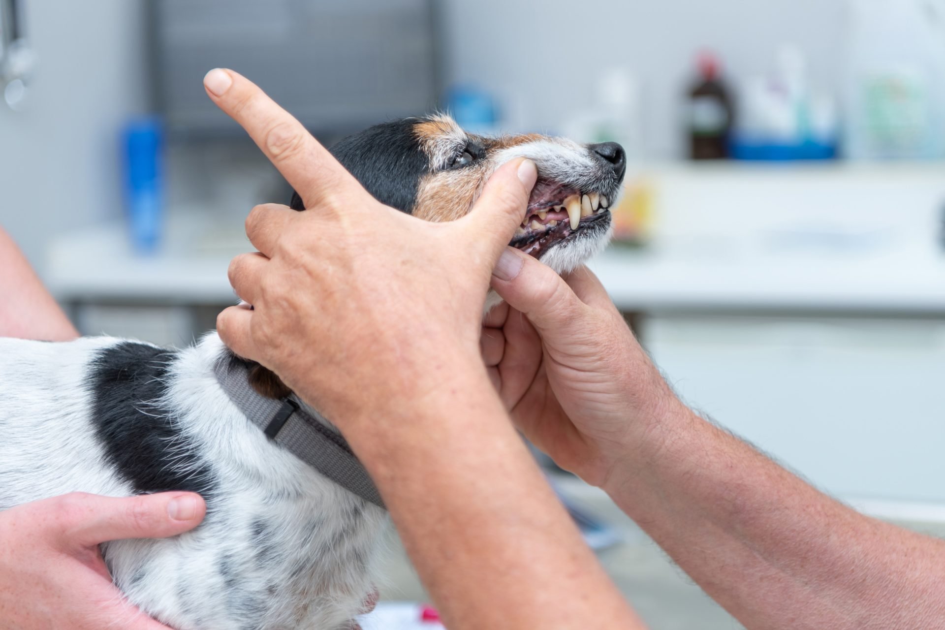 2020_07_gettyimages-981992718-1-scaled.jpg