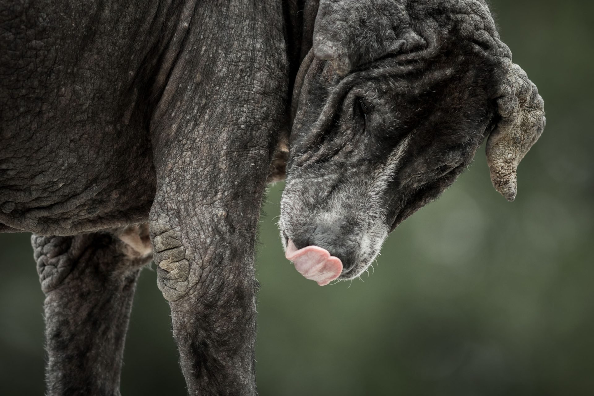 2020_07_seborrhea-scaled.jpg