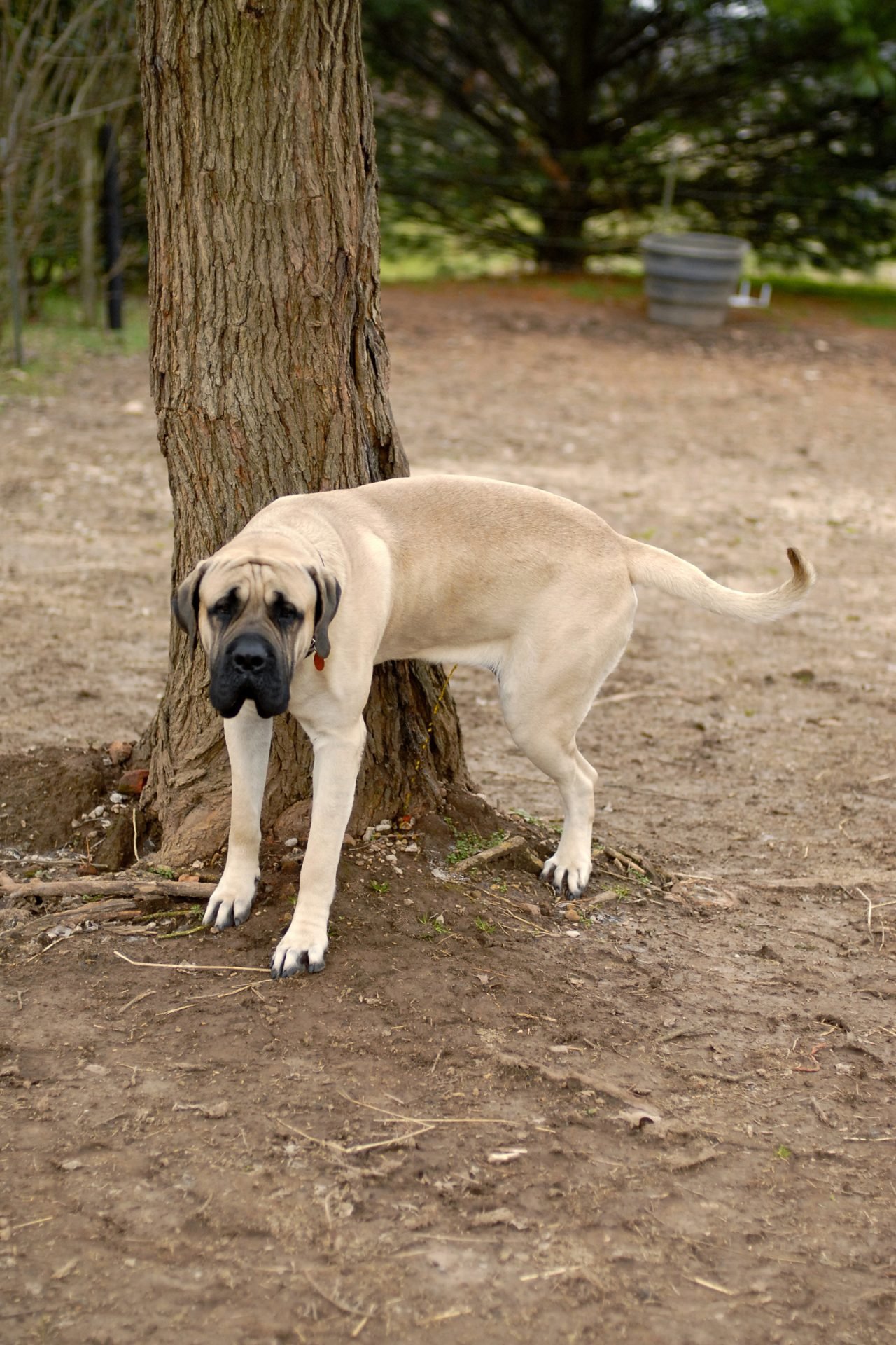 2020_08_gettyimages-104652103-scaled.jpg