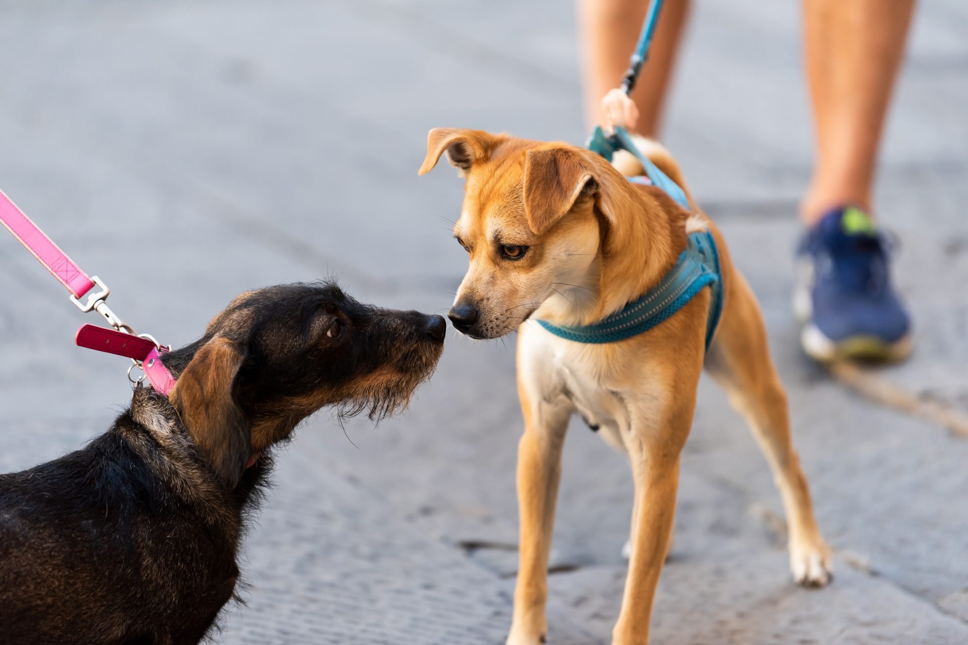 2020_08_gettyimages-1065175142-scaled.jpg
