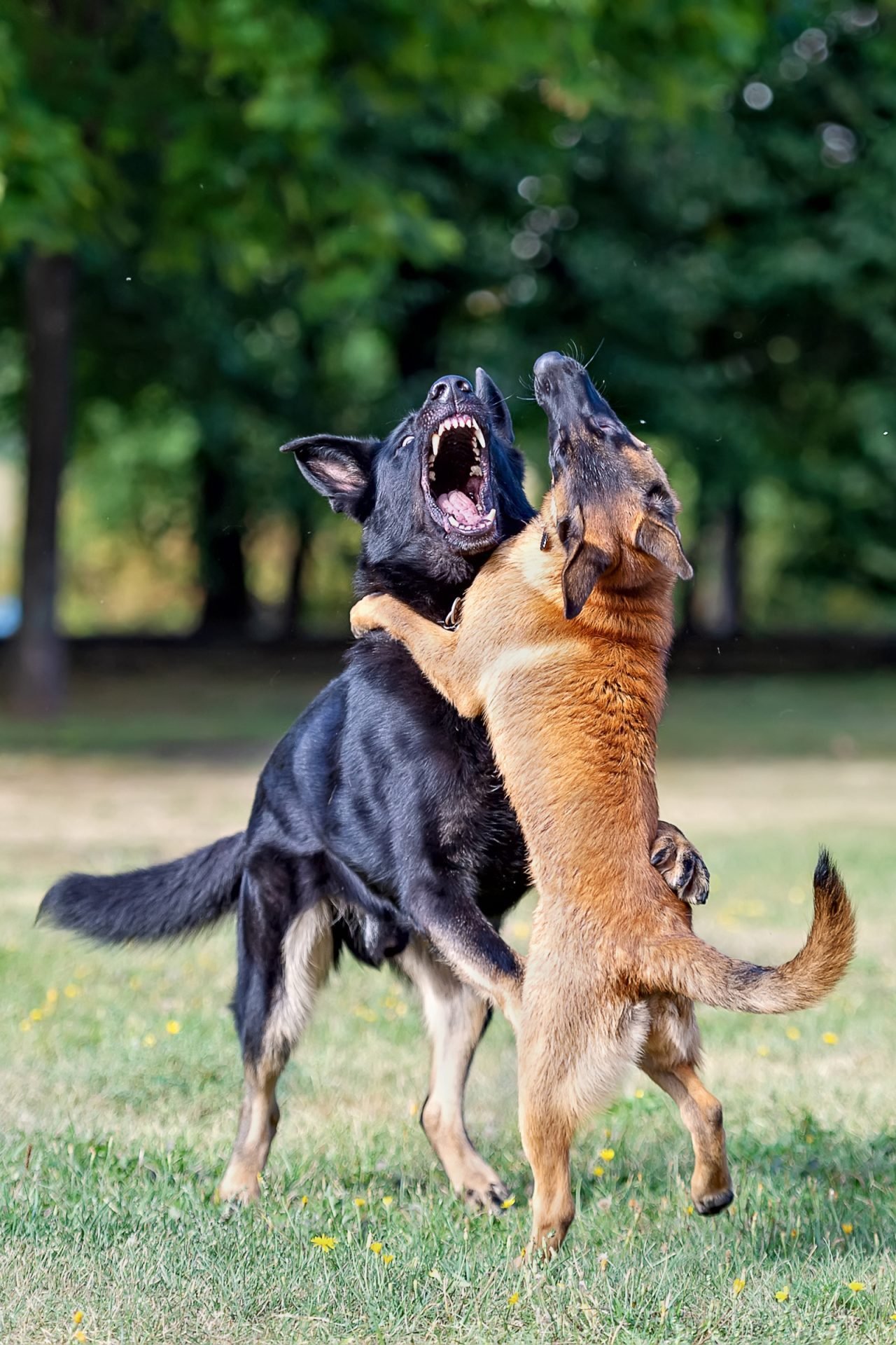 2020_08_gettyimages-1095608988-scaled.jpg