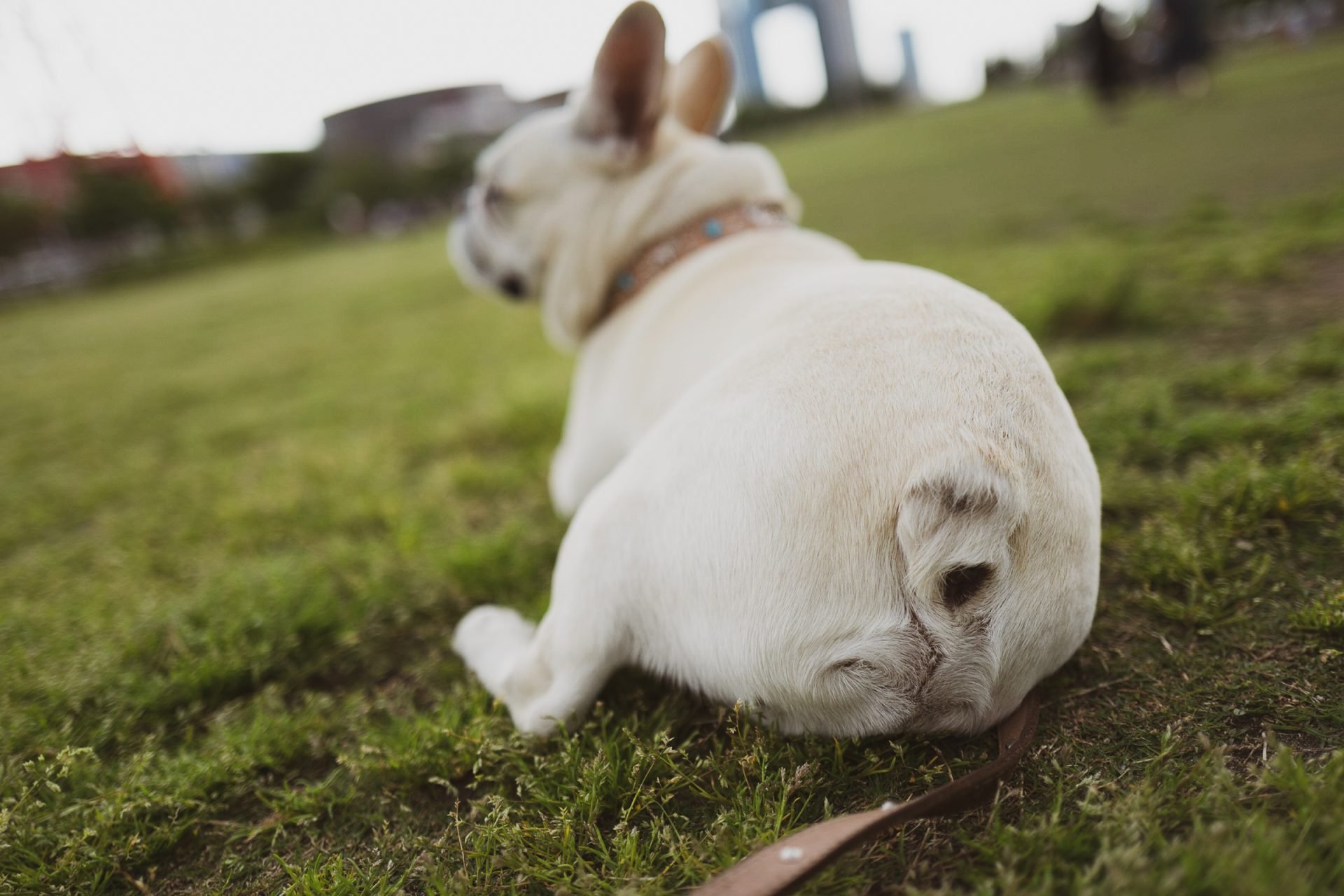 2020_08_gettyimages-1149791050-scaled.jpg