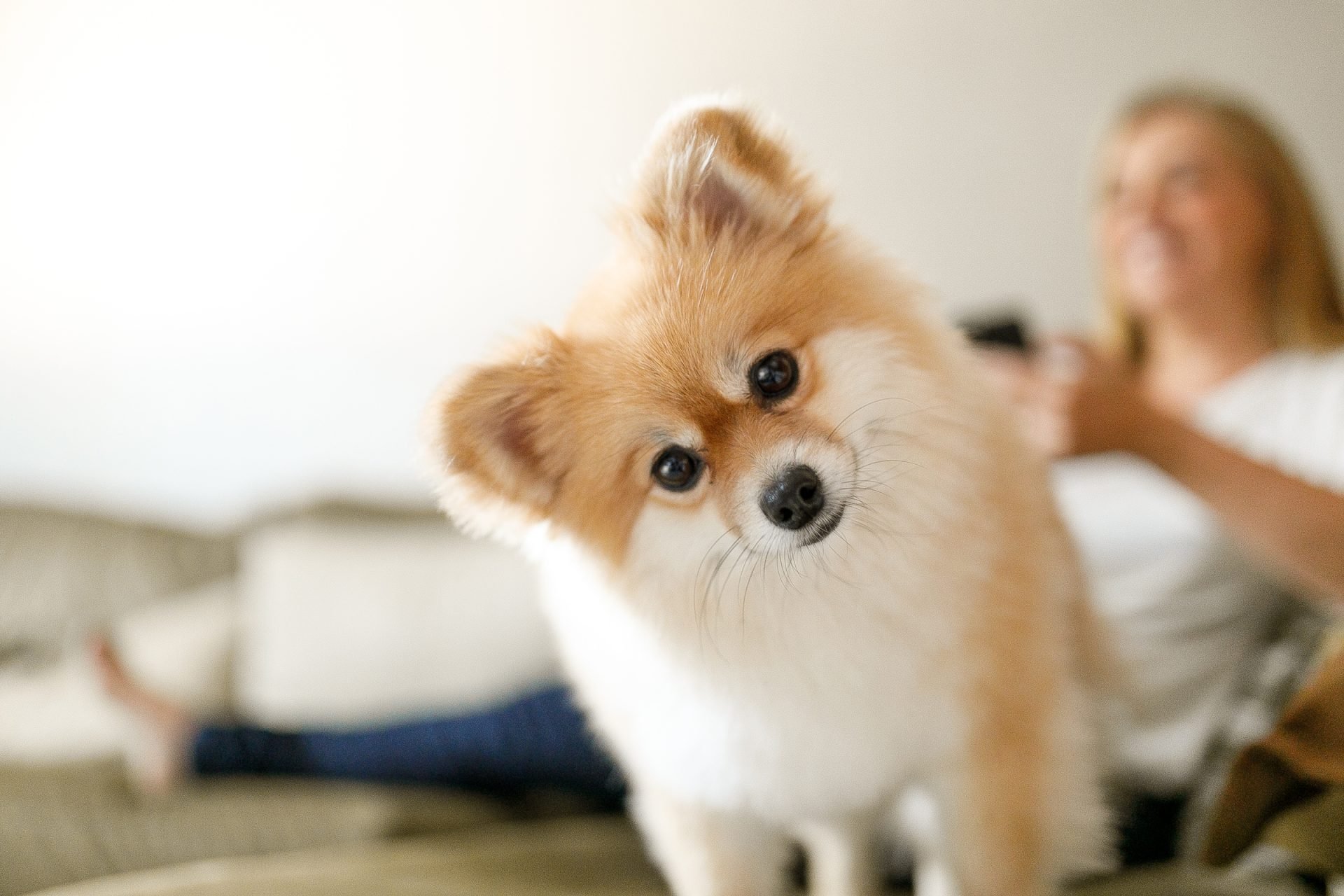 2020_08_gettyimages-1152439648-scaled.jpg