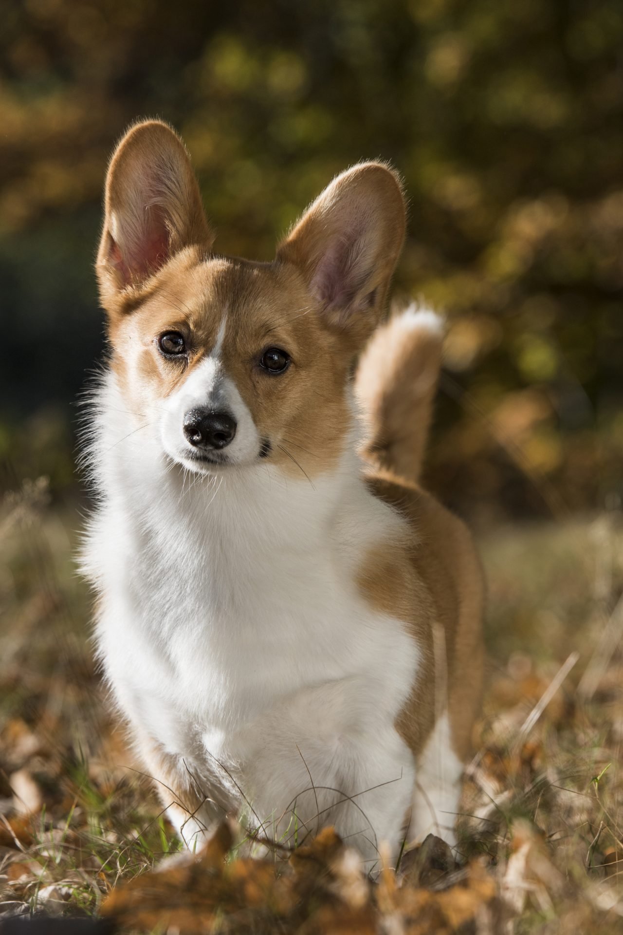 2020_08_gettyimages-1159457848-scaled.jpg