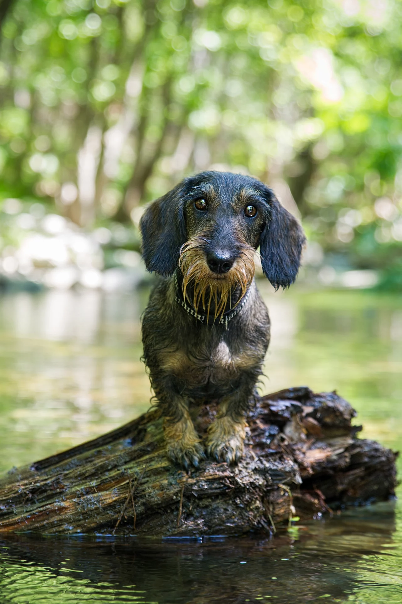 2020_08_gettyimages-1175870809-scaled.webp