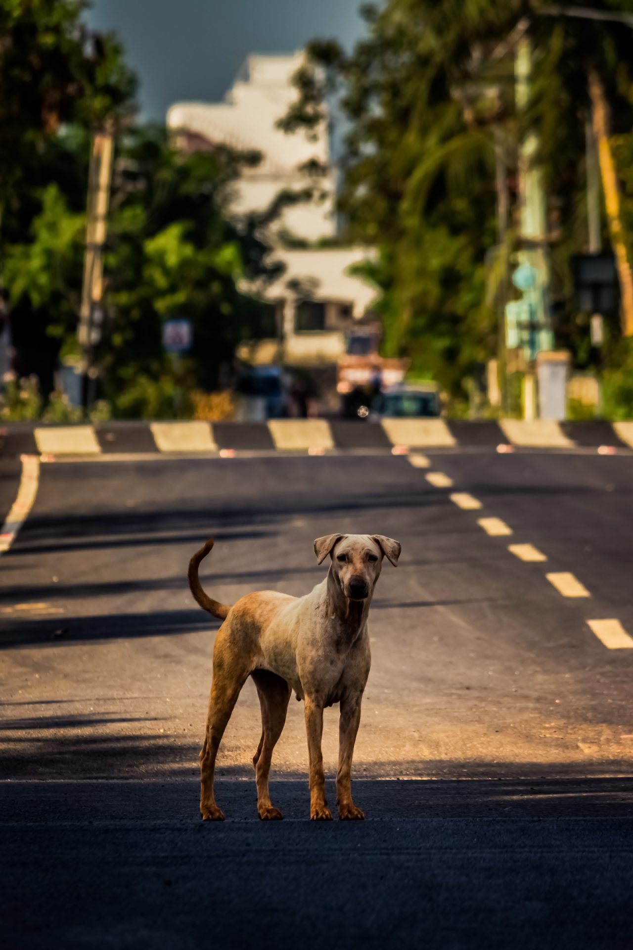 2020_08_gettyimages-1223830436-scaled.jpg