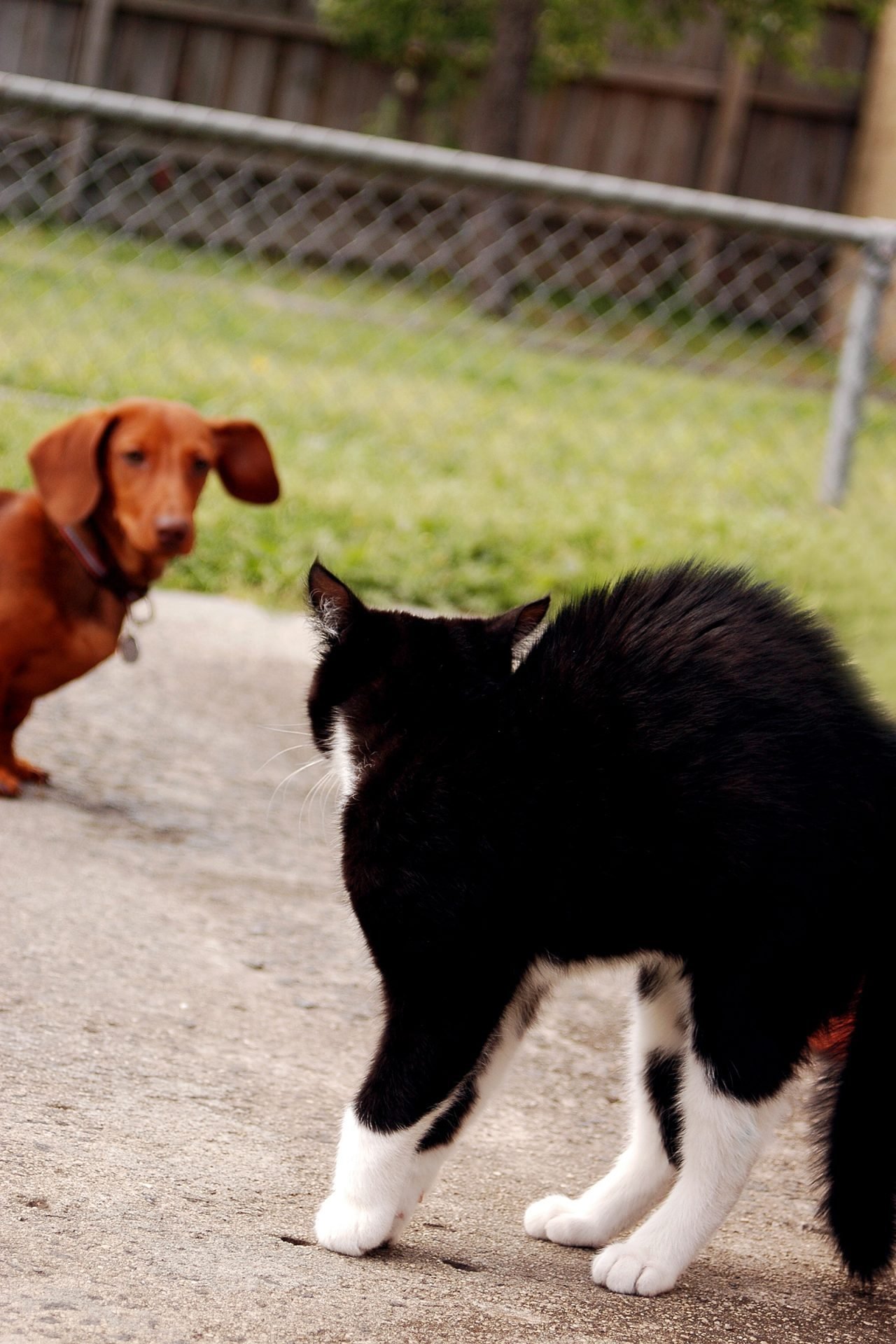 2020_08_gettyimages-174910453-scaled.jpg