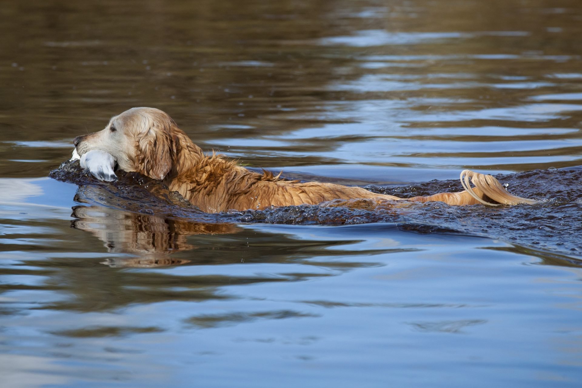 2020_08_gettyimages-460299451-scaled.jpg