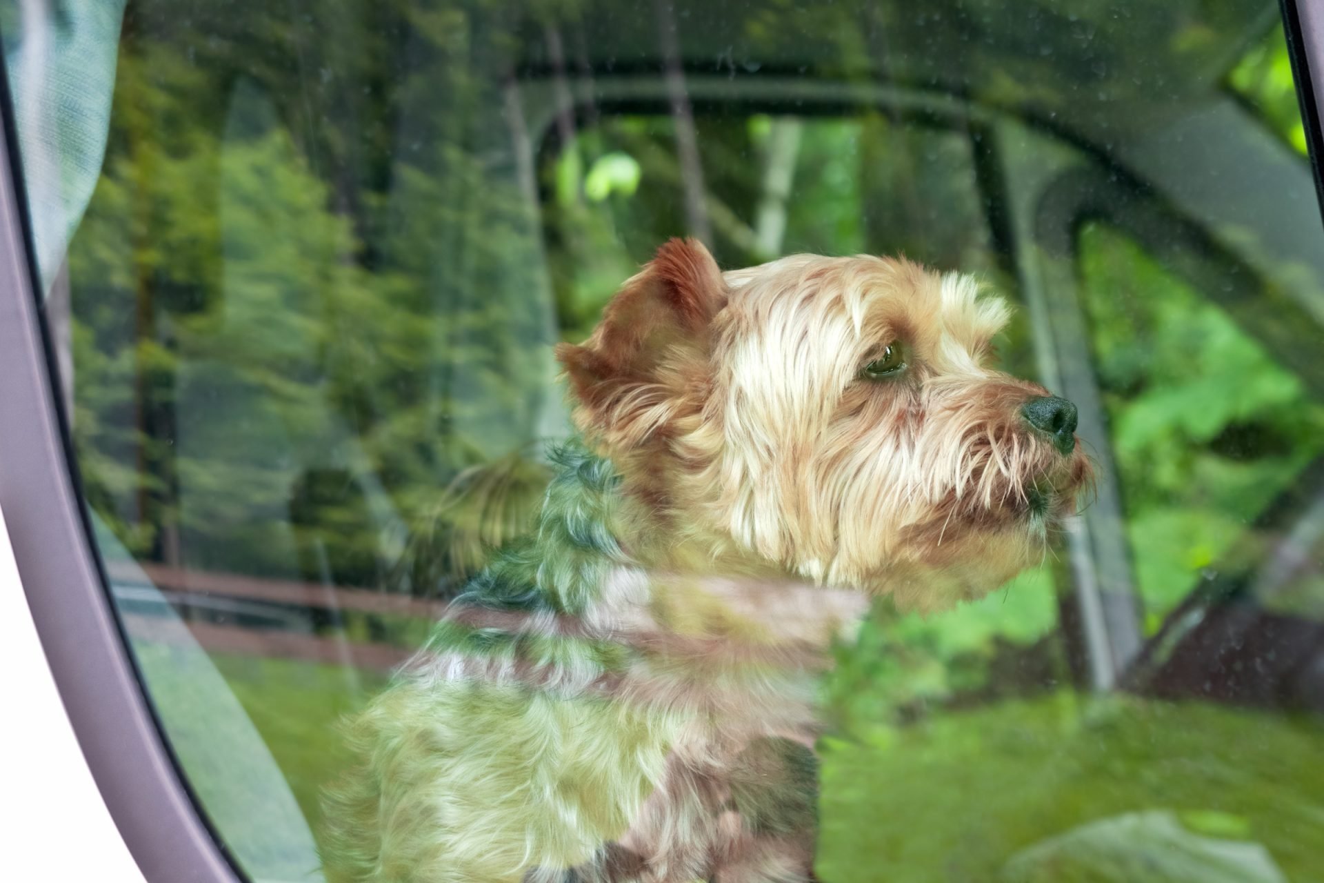 2020_08_gettyimages-464576608-scaled.jpg